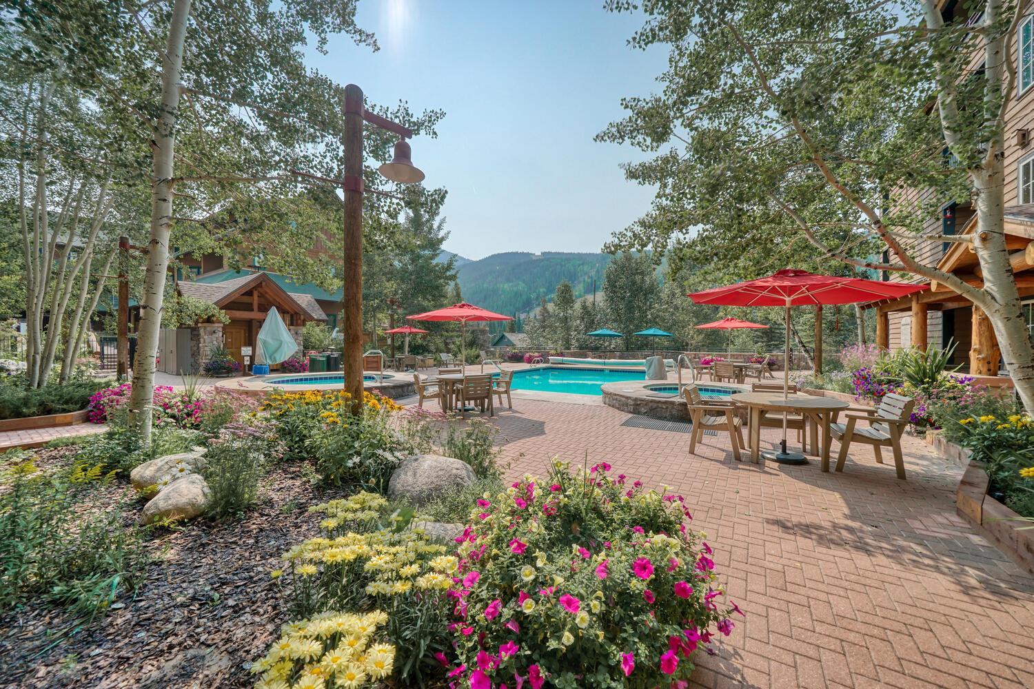 Buffalo Lodge 2 Bed 2 Ba BLCD2 view 4
