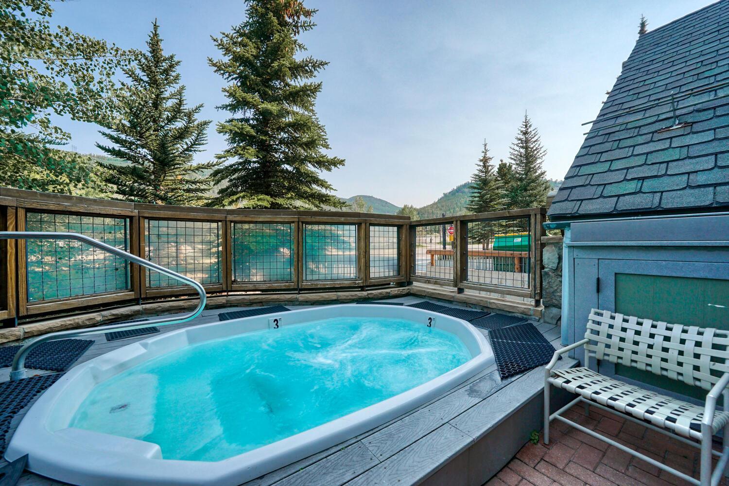 Buffalo Lodge 2 Bed 2 Ba BLCD2 view 5