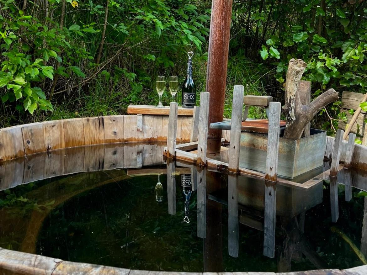 Eco cabañas - PUMALLEN