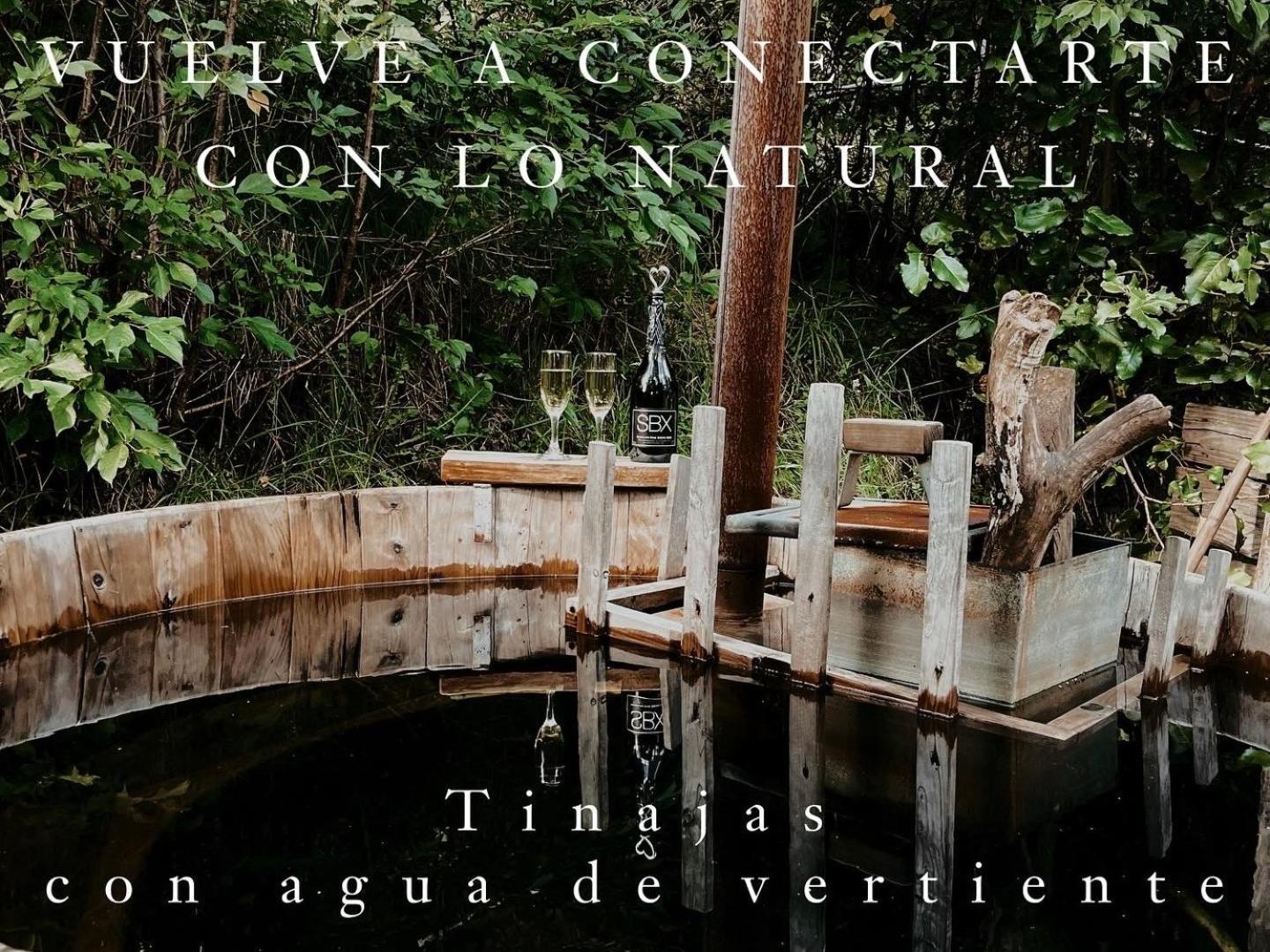 Eco cabañas - PUMALLEN