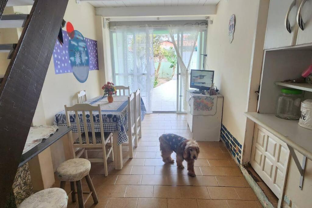 Alquilo casa para temporada nos Ingleses
