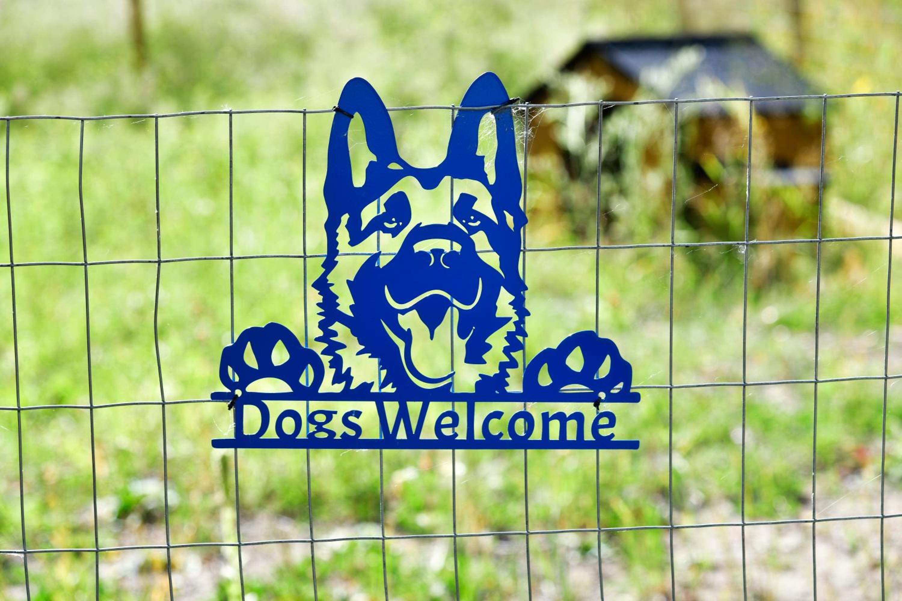 The Blue Cottage B&B