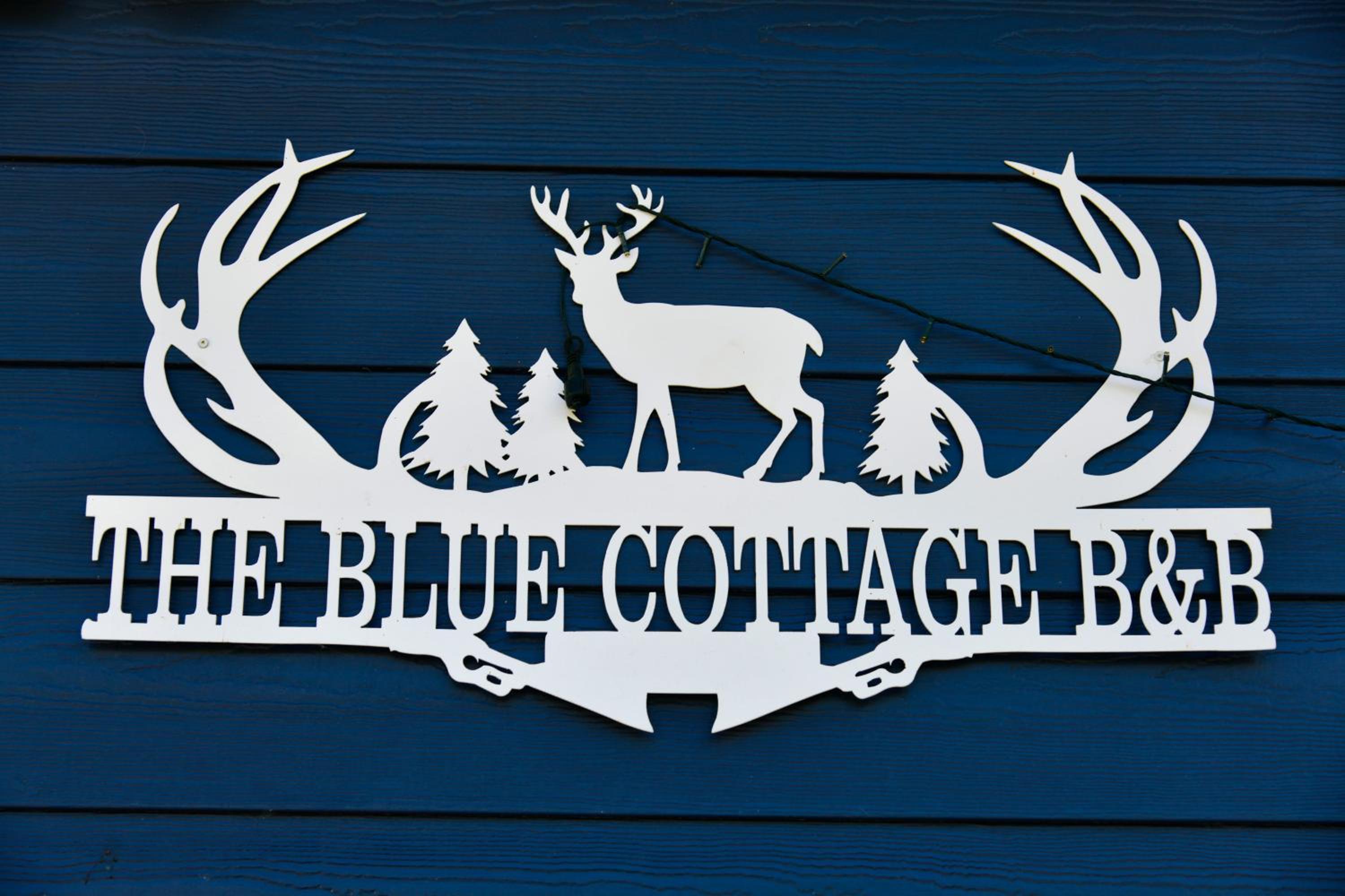 The Blue Cottage B&B