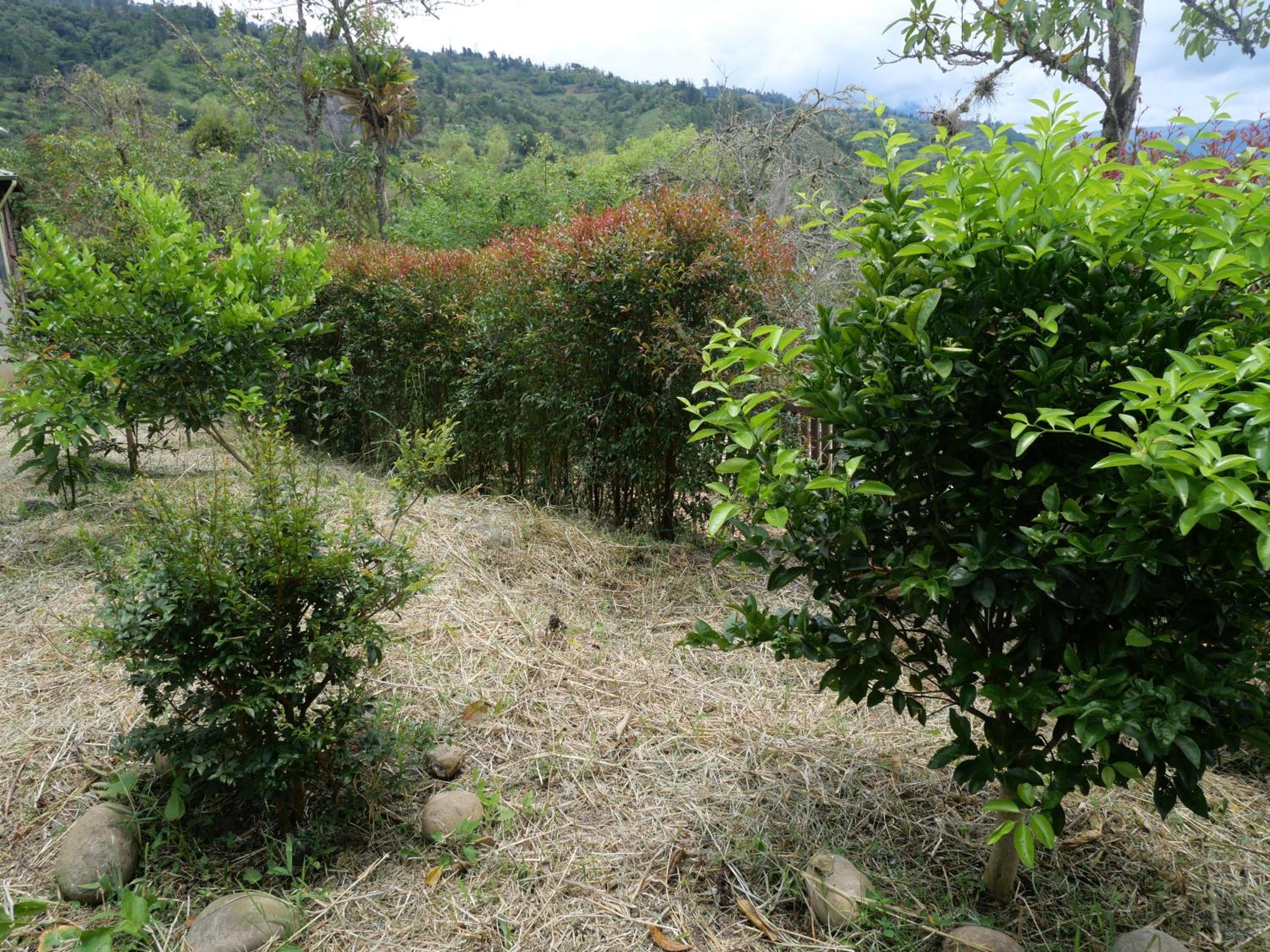 Acogedora casa campo en medio de la naturaleza