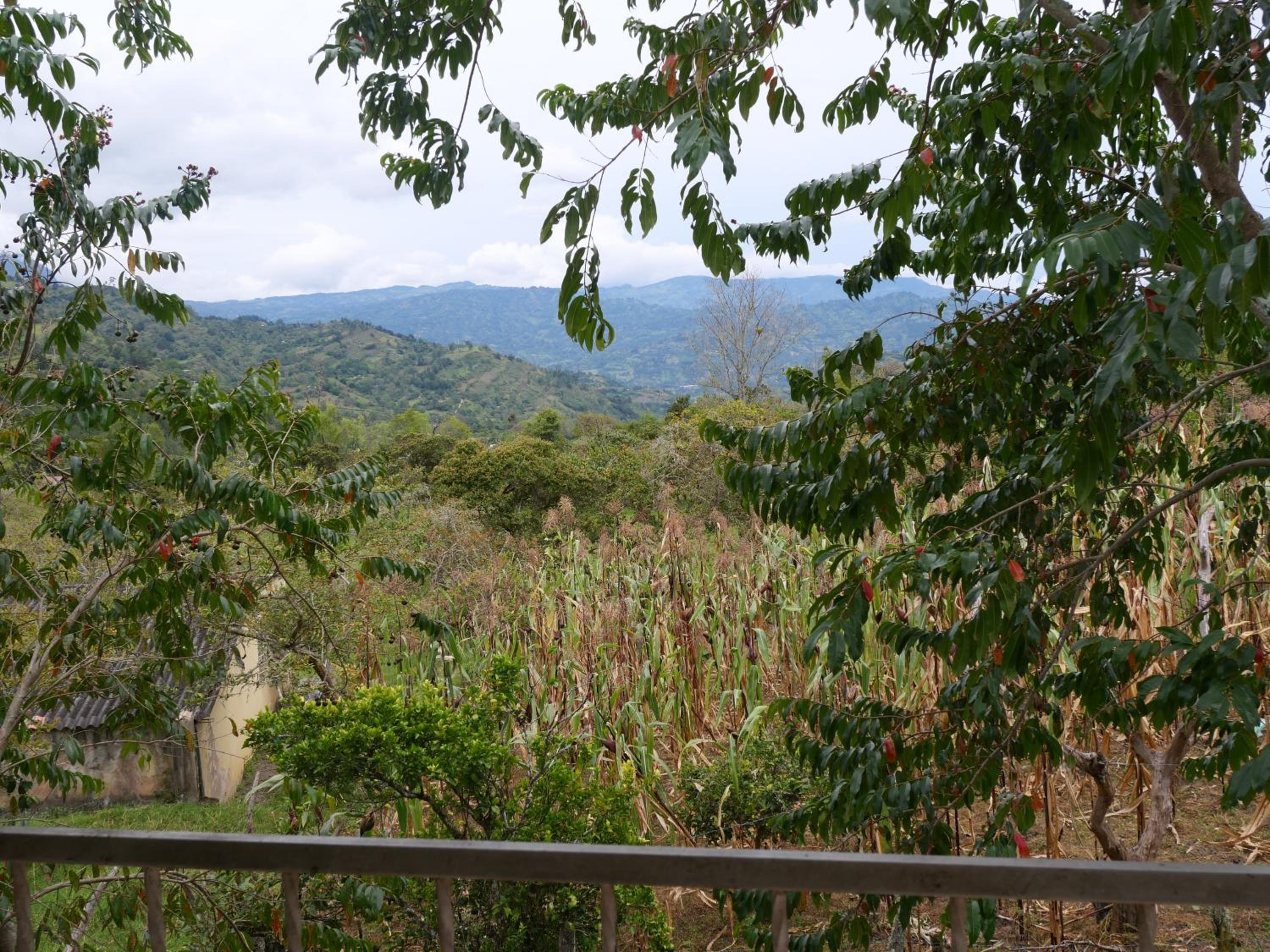 Acogedora casa campo en medio de la naturaleza