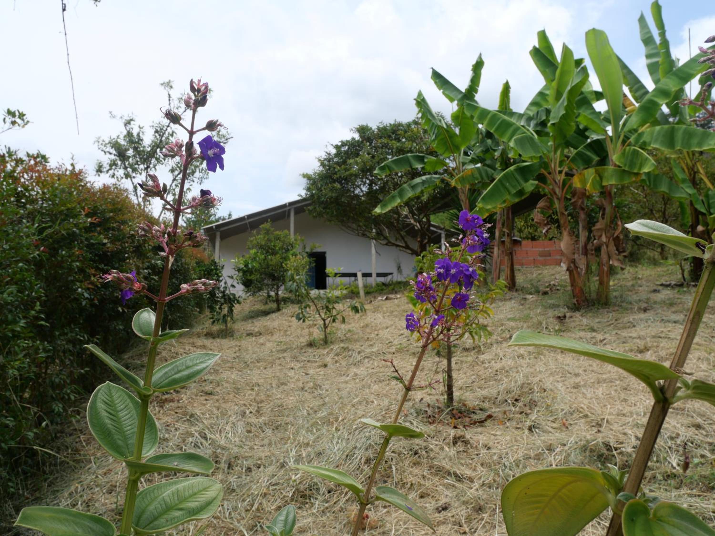 Acogedora casa campo en medio de la naturaleza