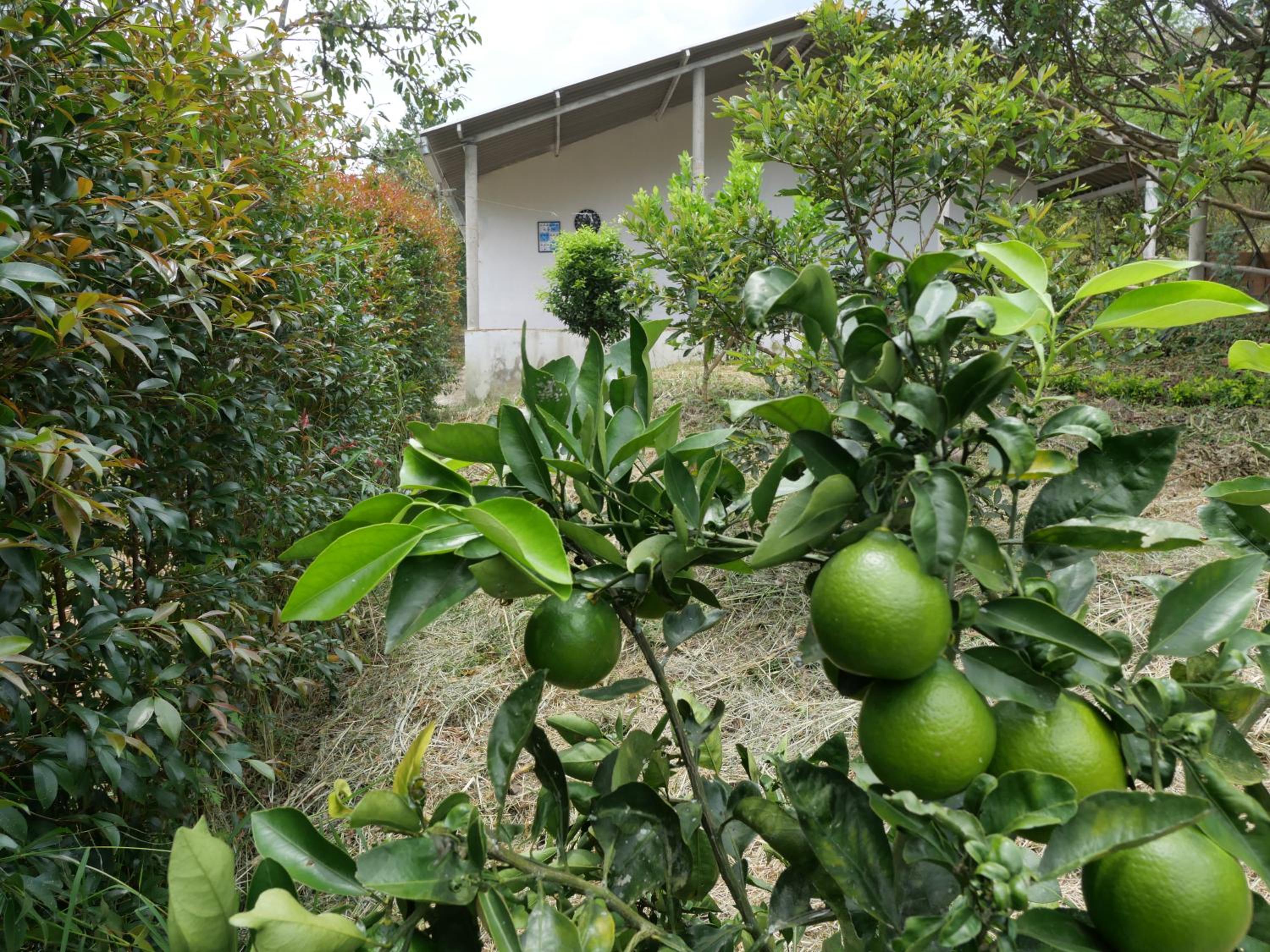 Acogedora casa campo en medio de la naturaleza