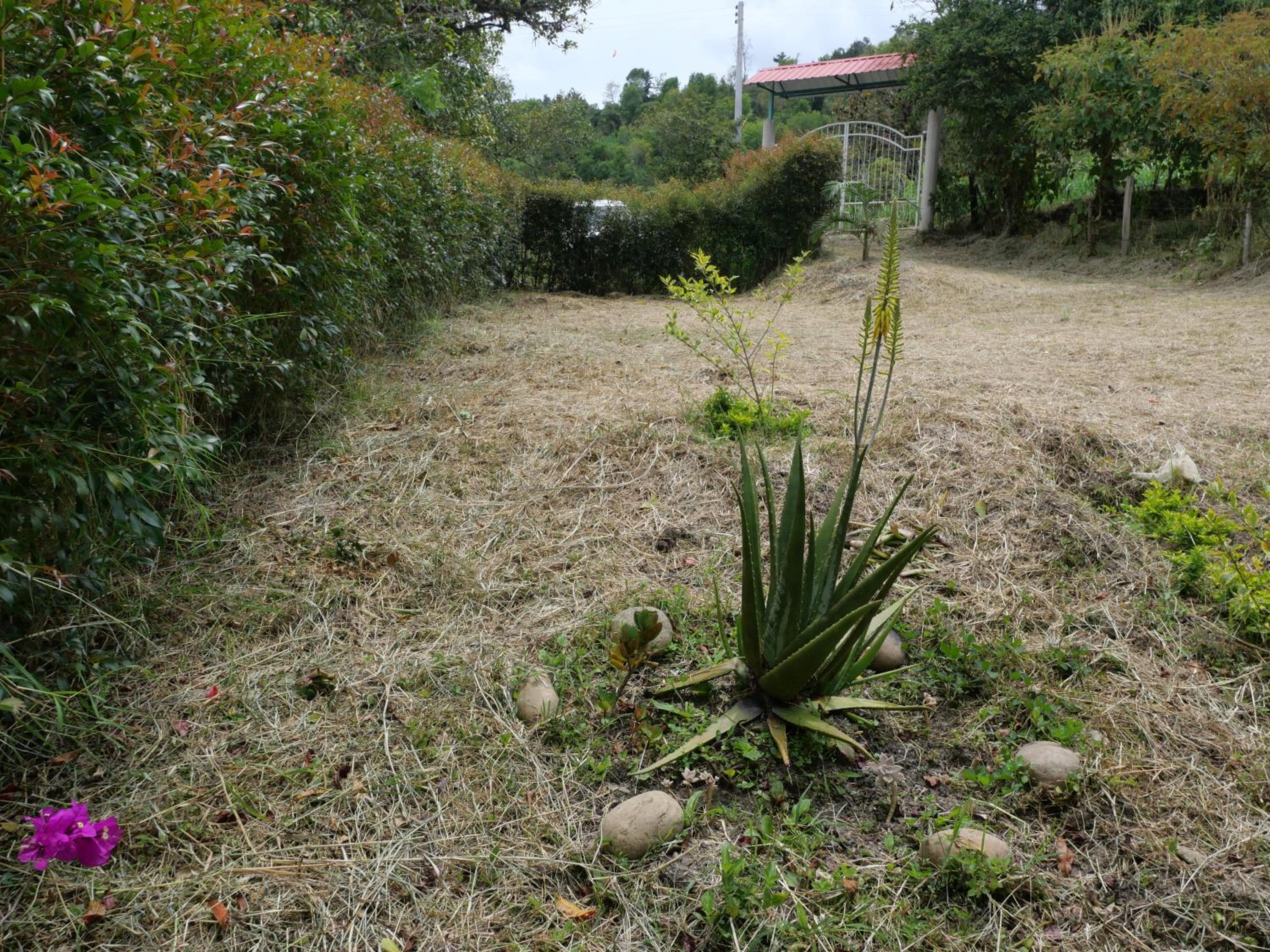 Acogedora casa campo en medio de la naturaleza