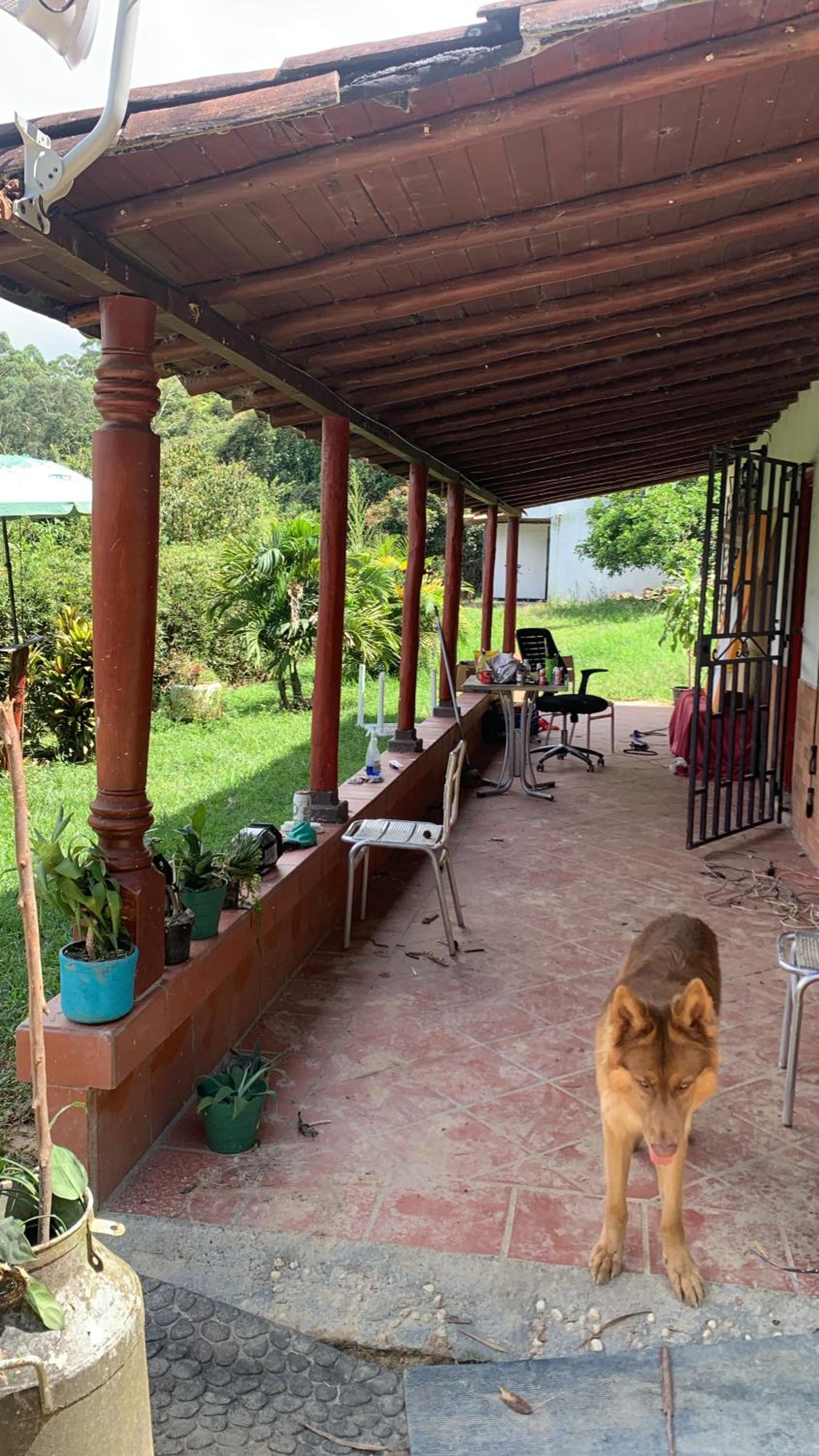 Jardín de D