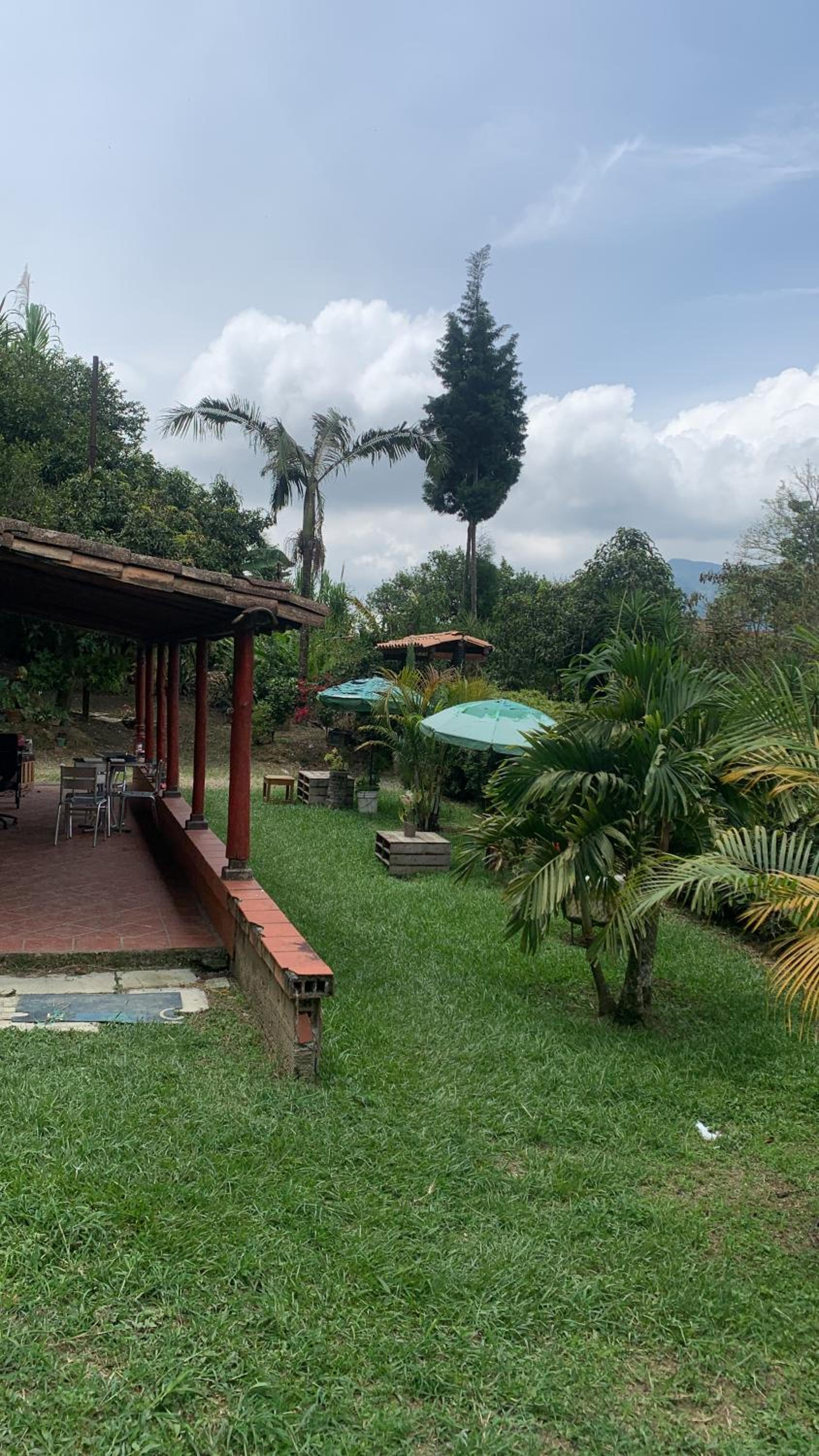 Jardín de D