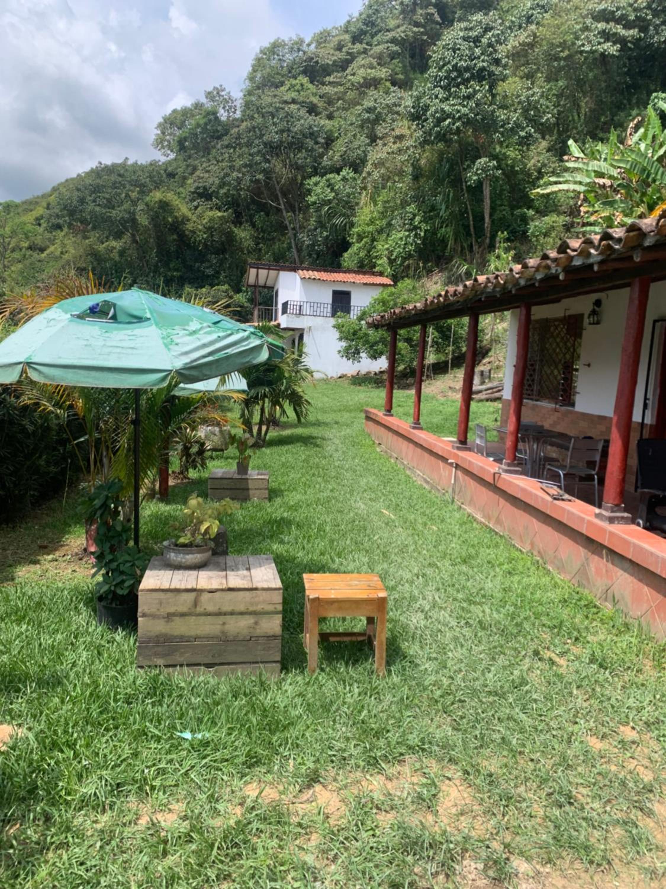 Jardín de D