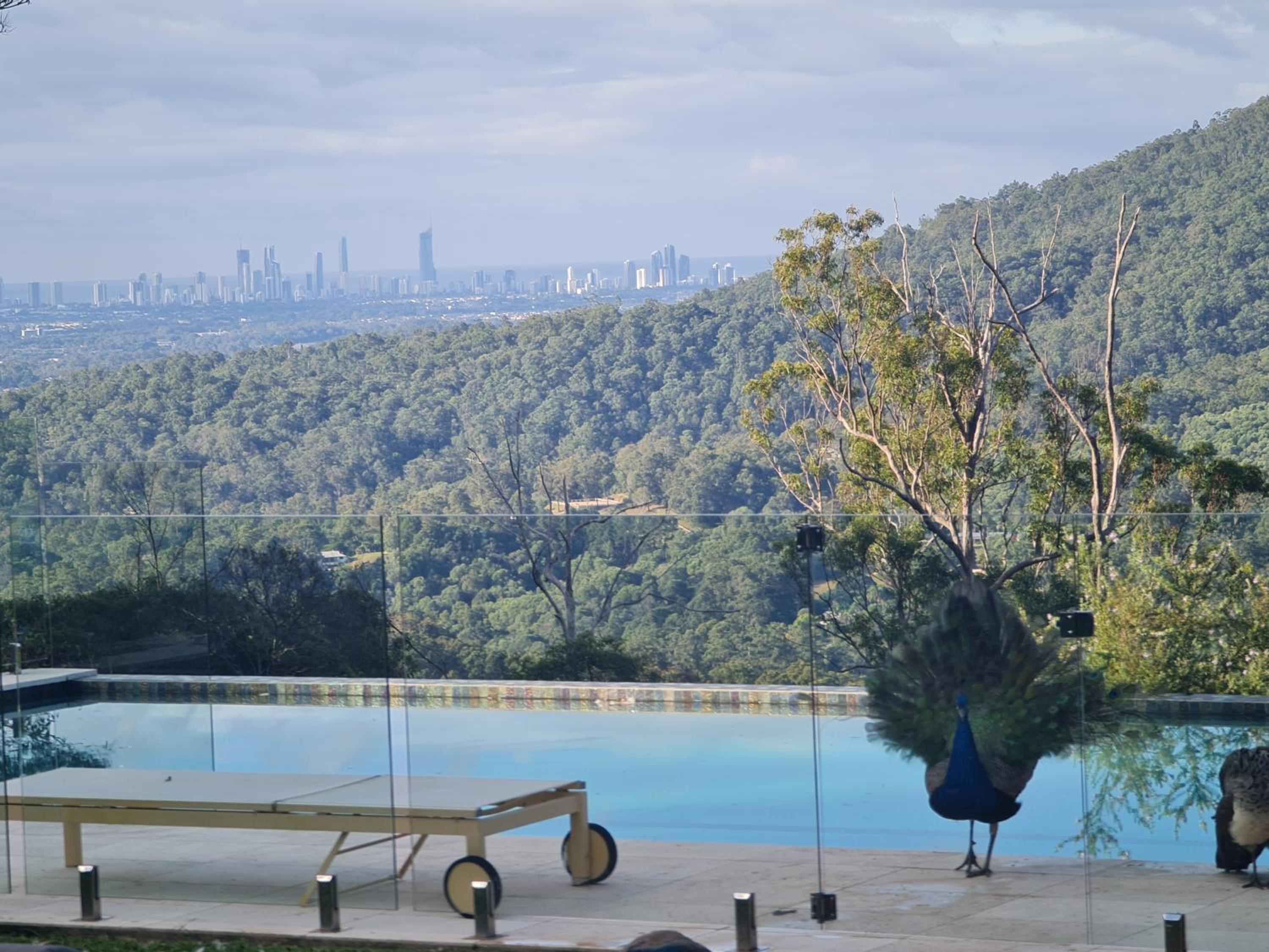 Gold Coast Tree Houses