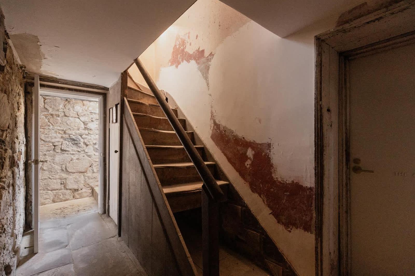 The Cellar