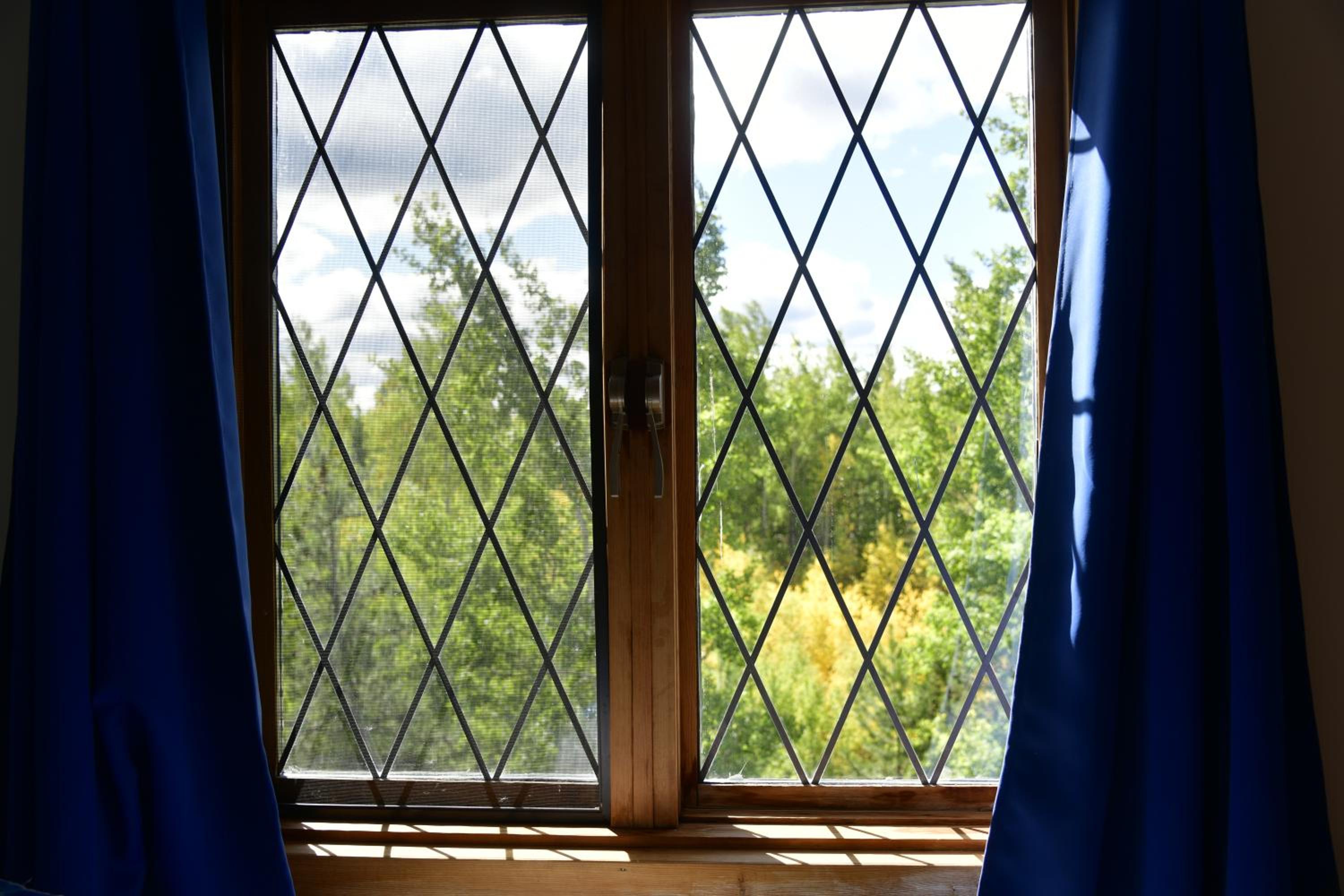 The Blue Cottage B&B