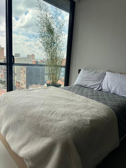 Apartasuite en Bogotá