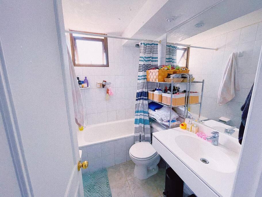 Cozy Apartment in Providencia