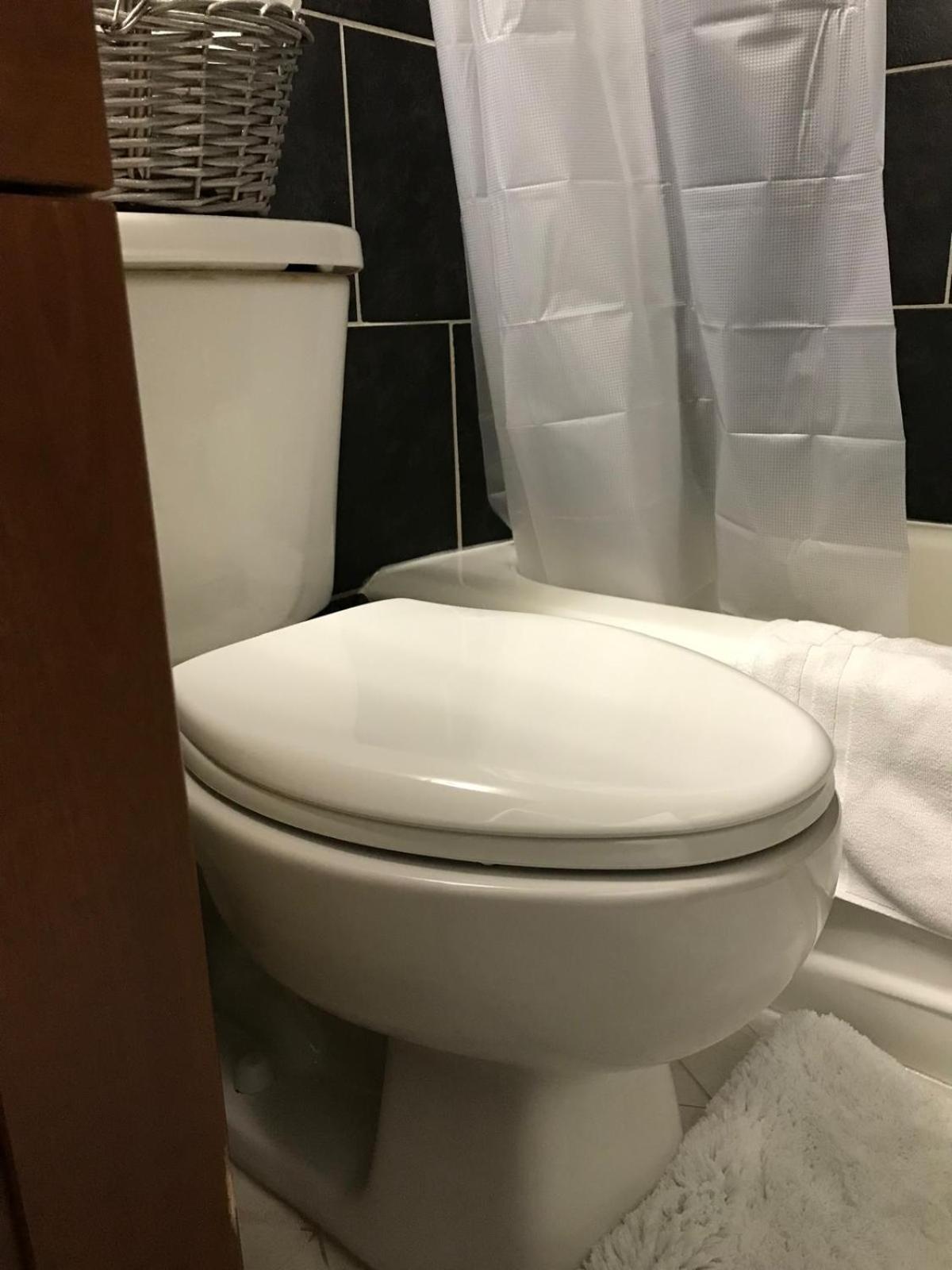 Vibrant Escapade Bright one Bedroom