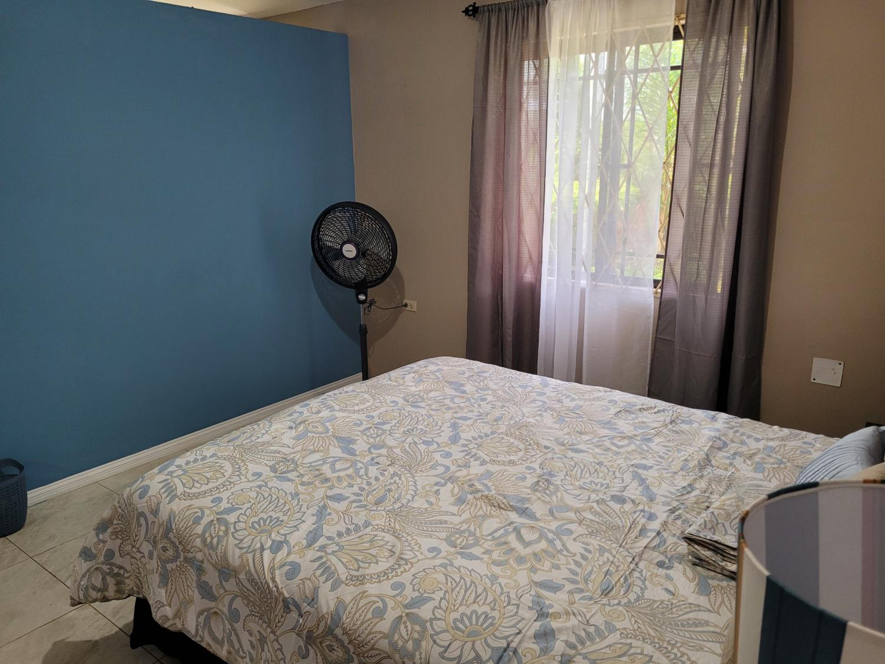 DW apartments - Photo 15