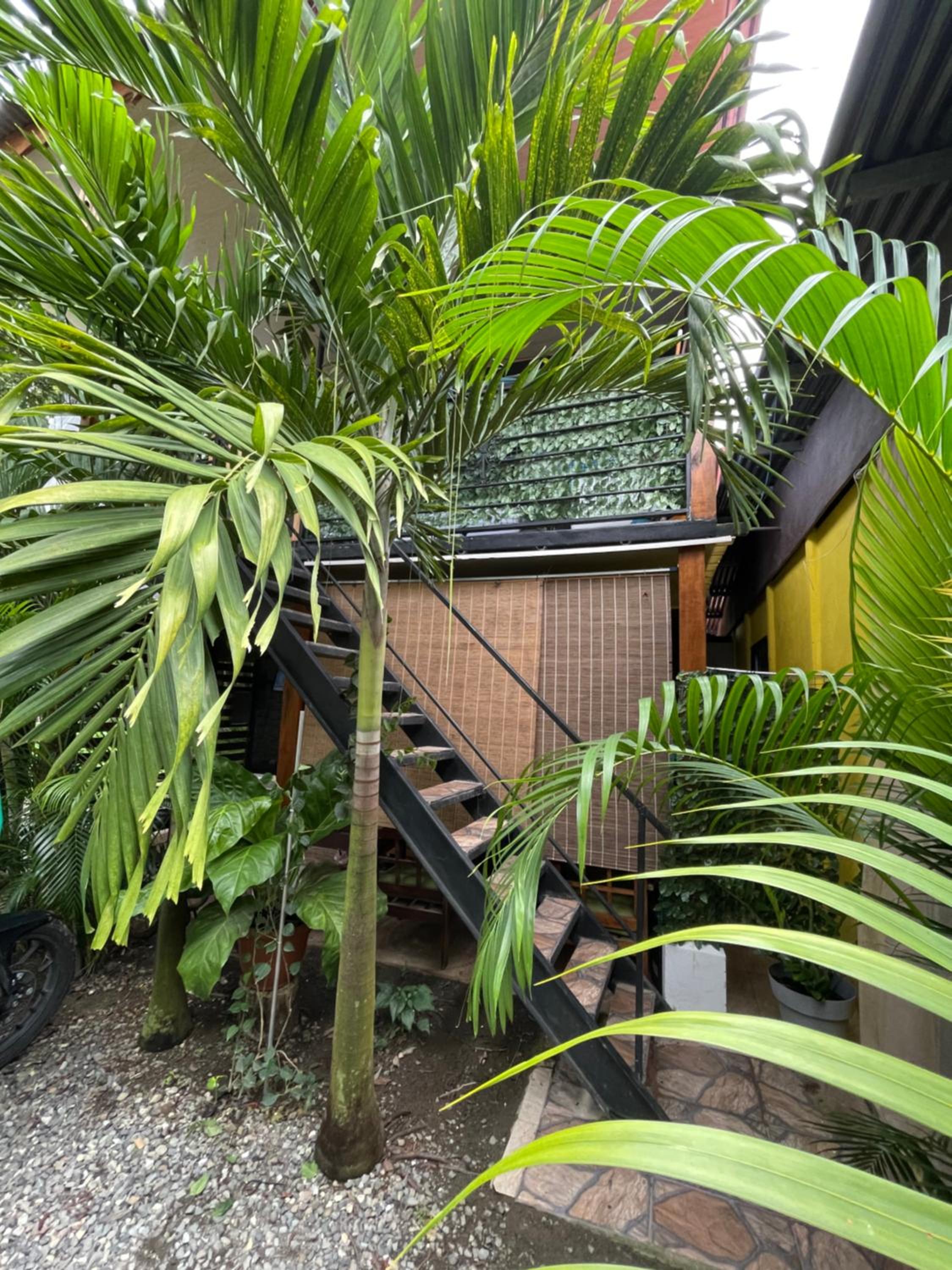 Apartamento casa Arrecife a 5mins del mar y a 400m del centro