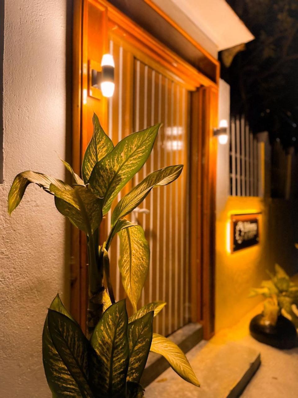 Bahaaru Villa Surf and Stay photo 2