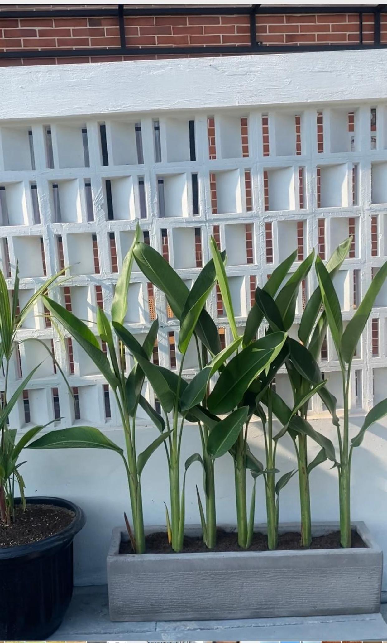 other