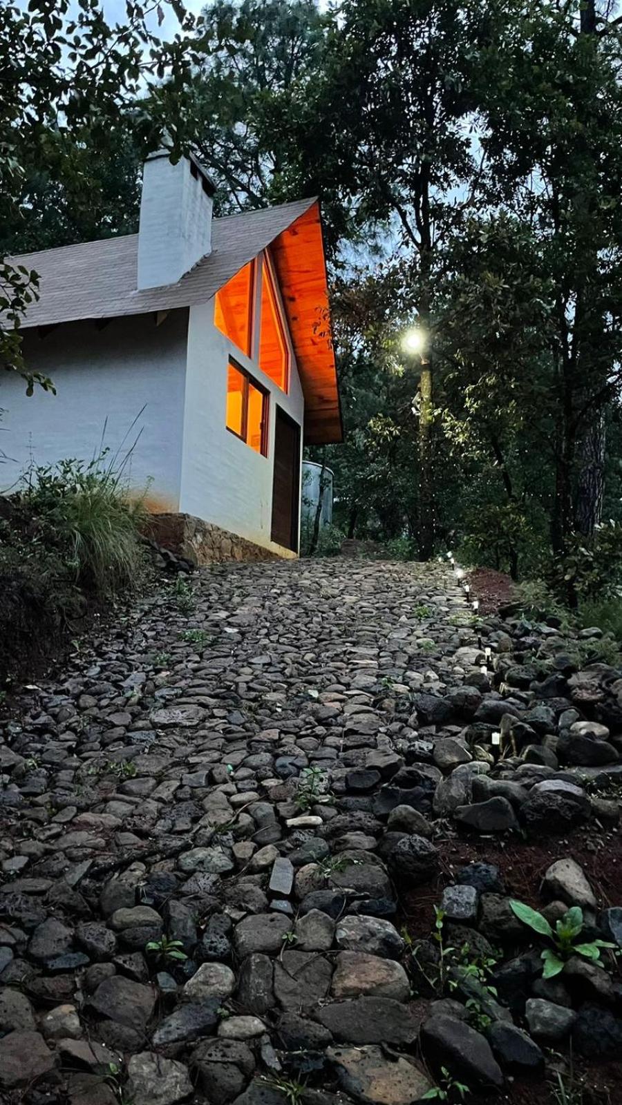 Betooz Cabin view 2