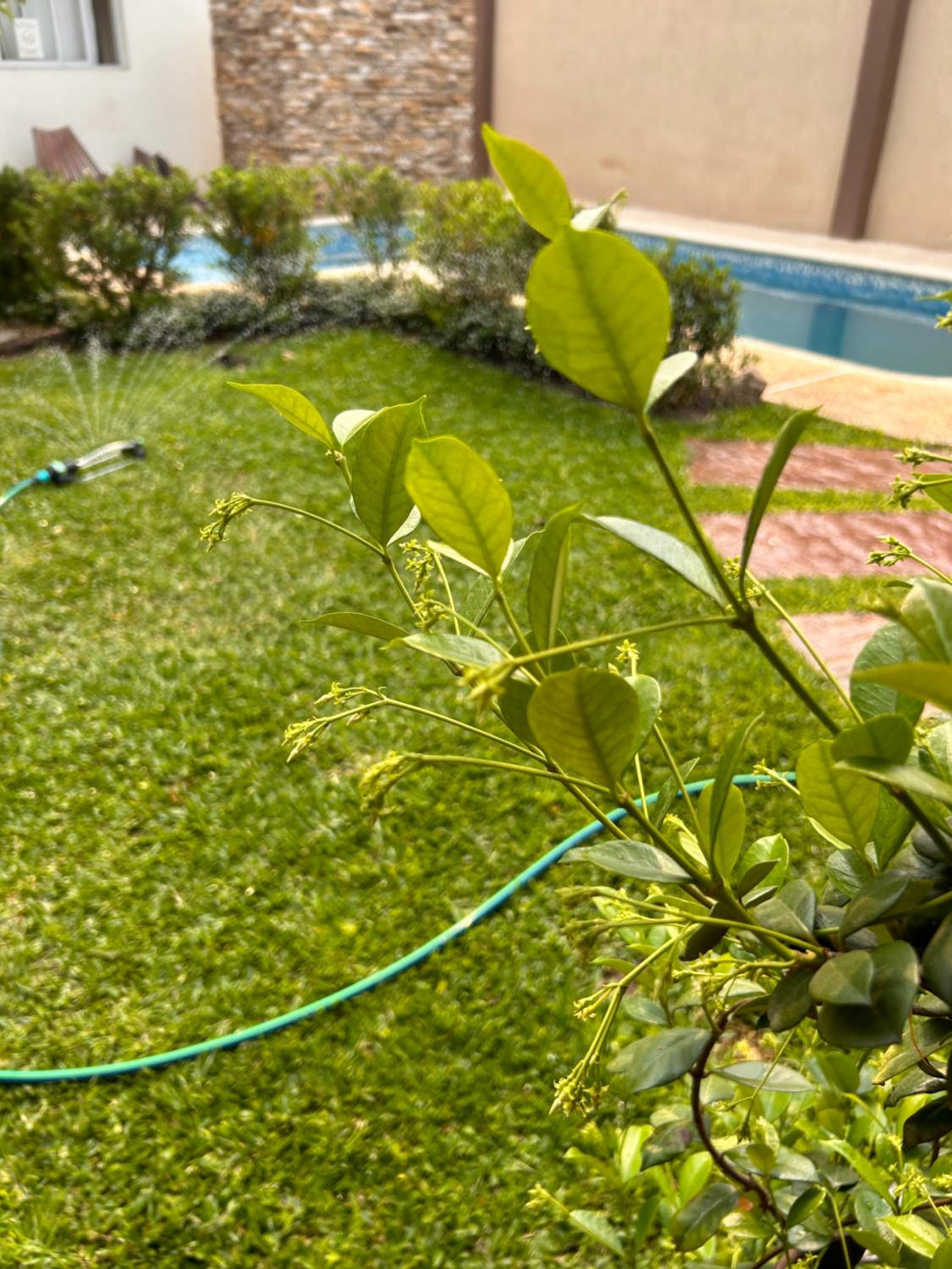 Casa Paraná