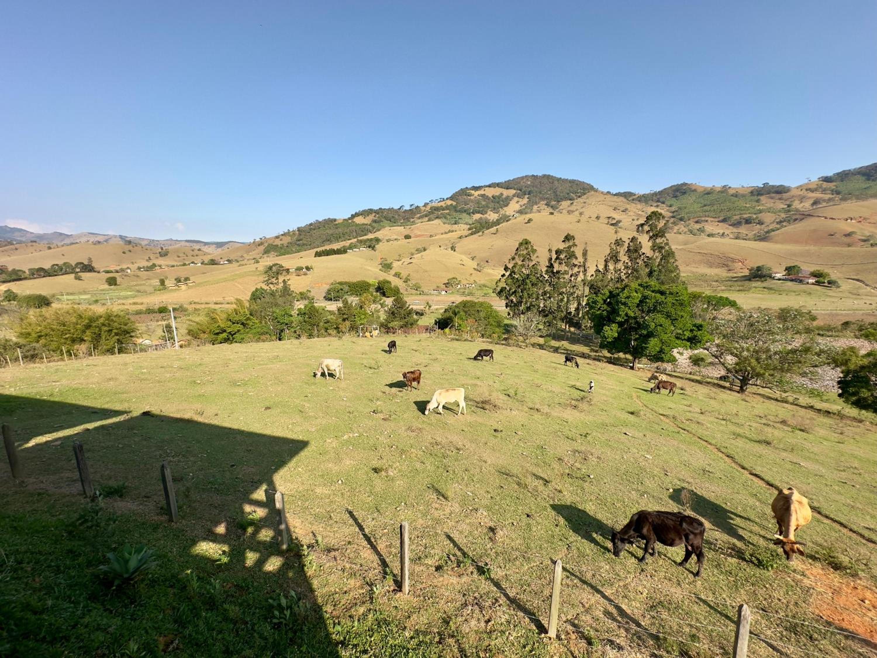 Chalés Paraíso na Roça São Bento do Sapucaí Bairro do Serrano