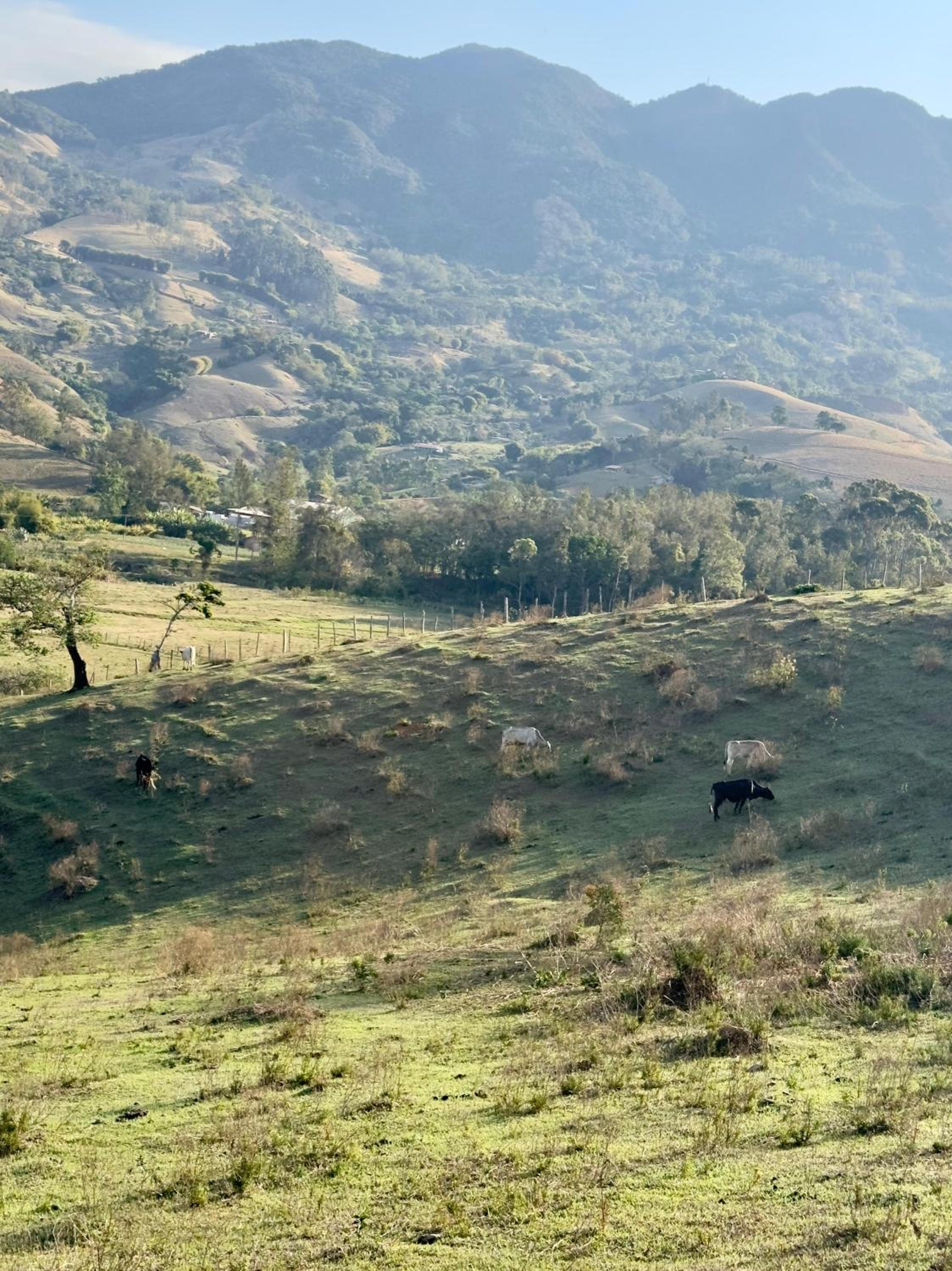 Chalés Paraíso na Roça São Bento do Sapucaí Bairro do Serrano