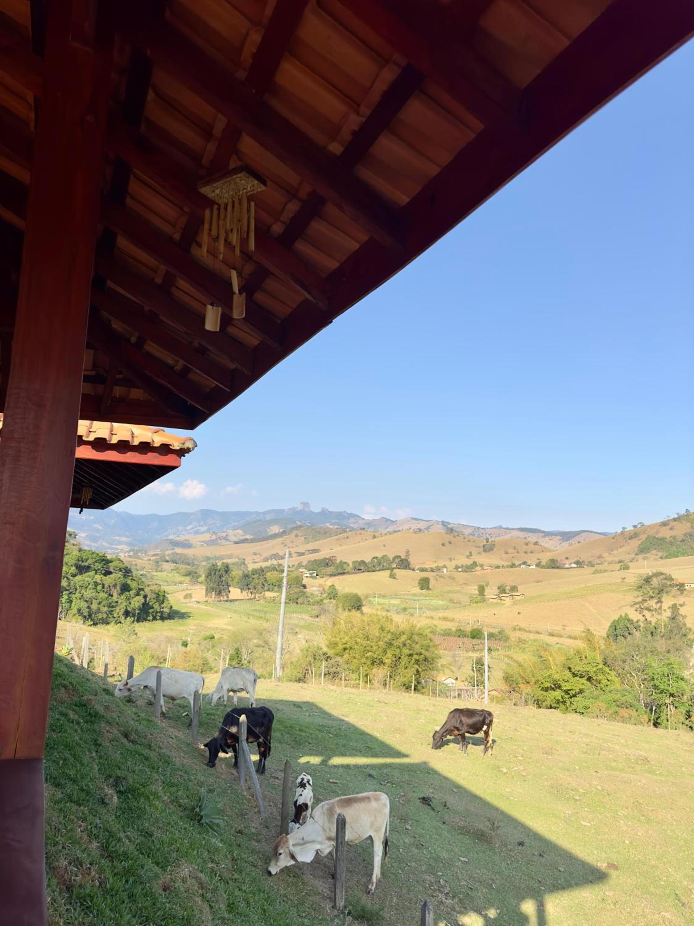 Chalés Paraíso na Roça São Bento do Sapucaí Bairro do Serrano