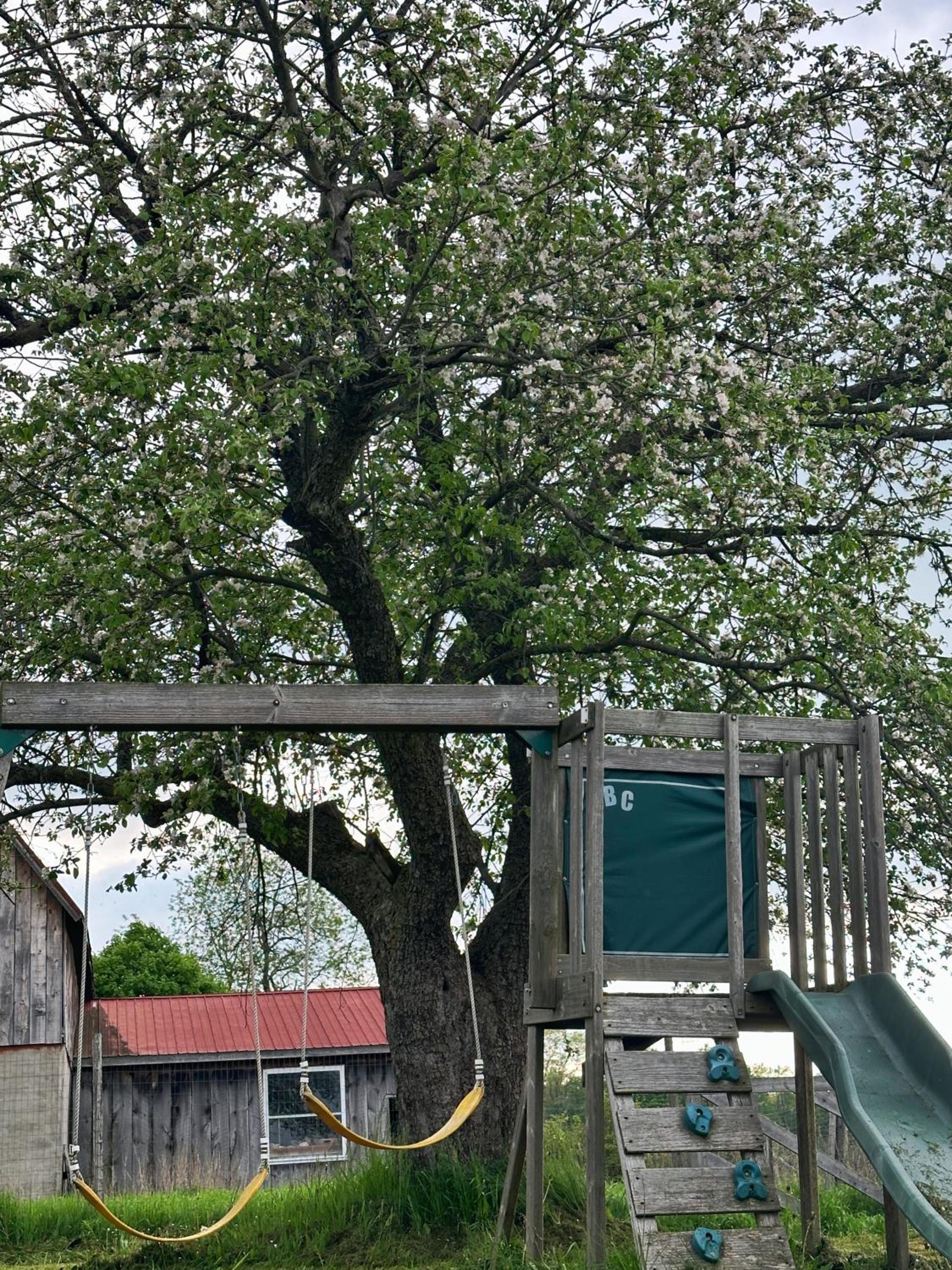 Entire Farmhouse 1 Hr from Toronto