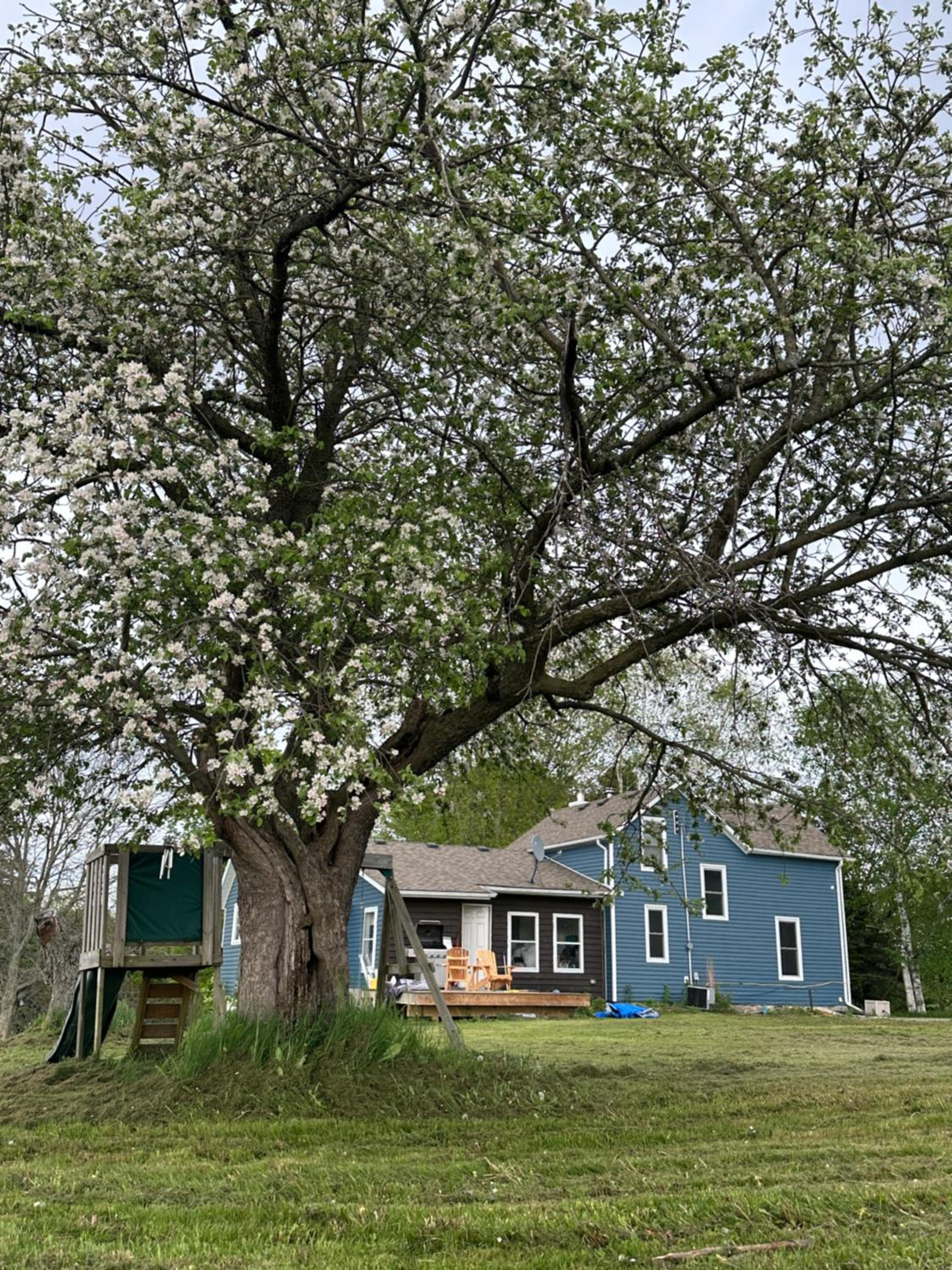 Entire Farmhouse 1 Hr from Toronto