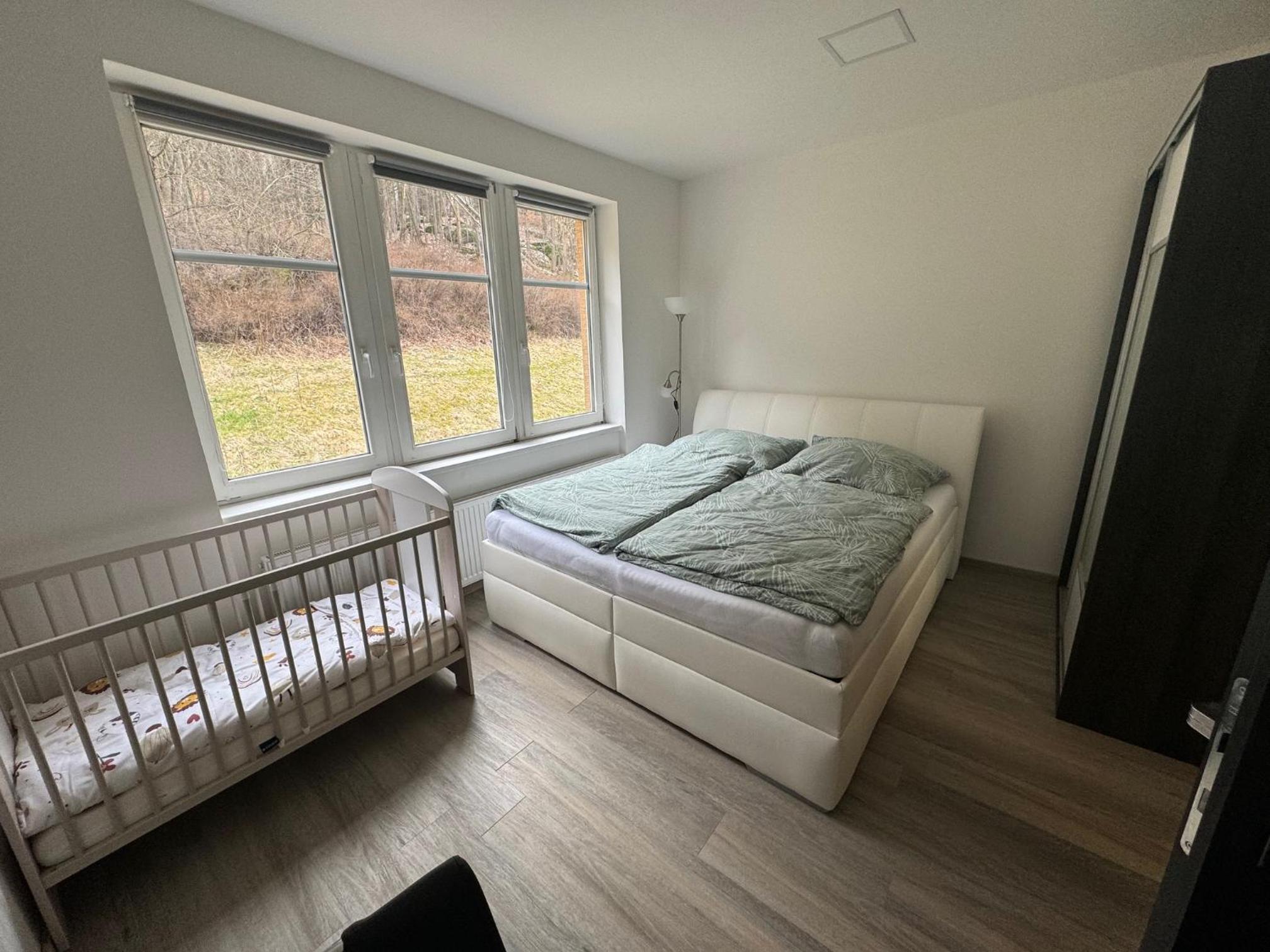 Vila Tanvald s wellness a wallboxem