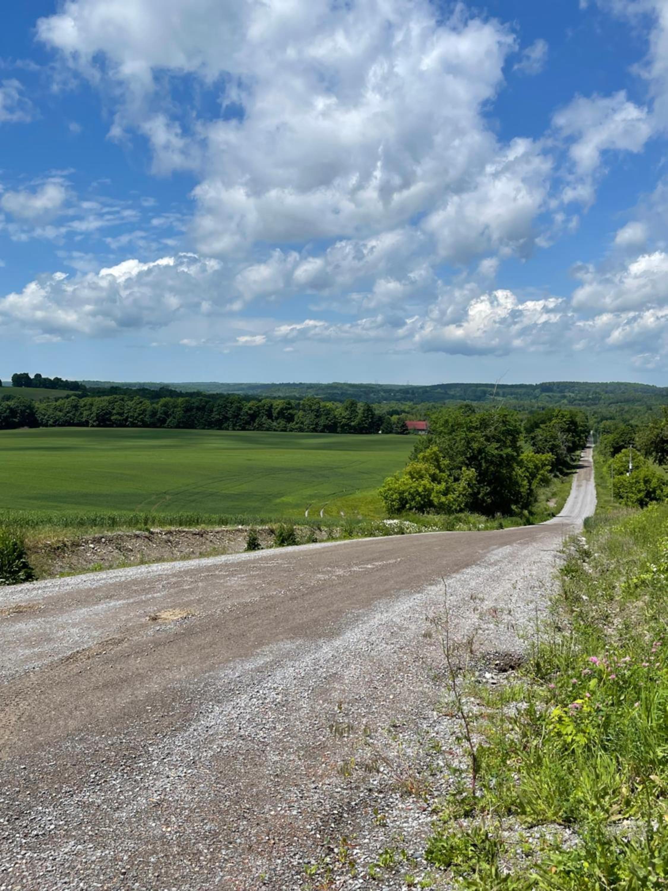 Entire Farmhouse 1 Hr from Toronto