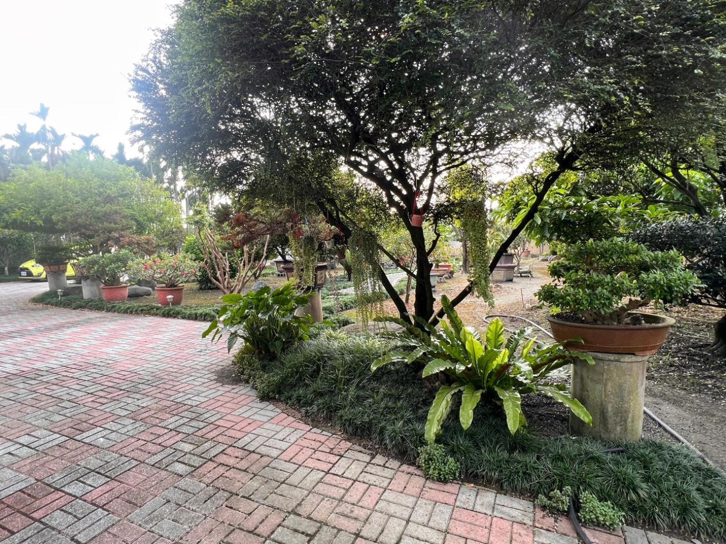 Photo 31