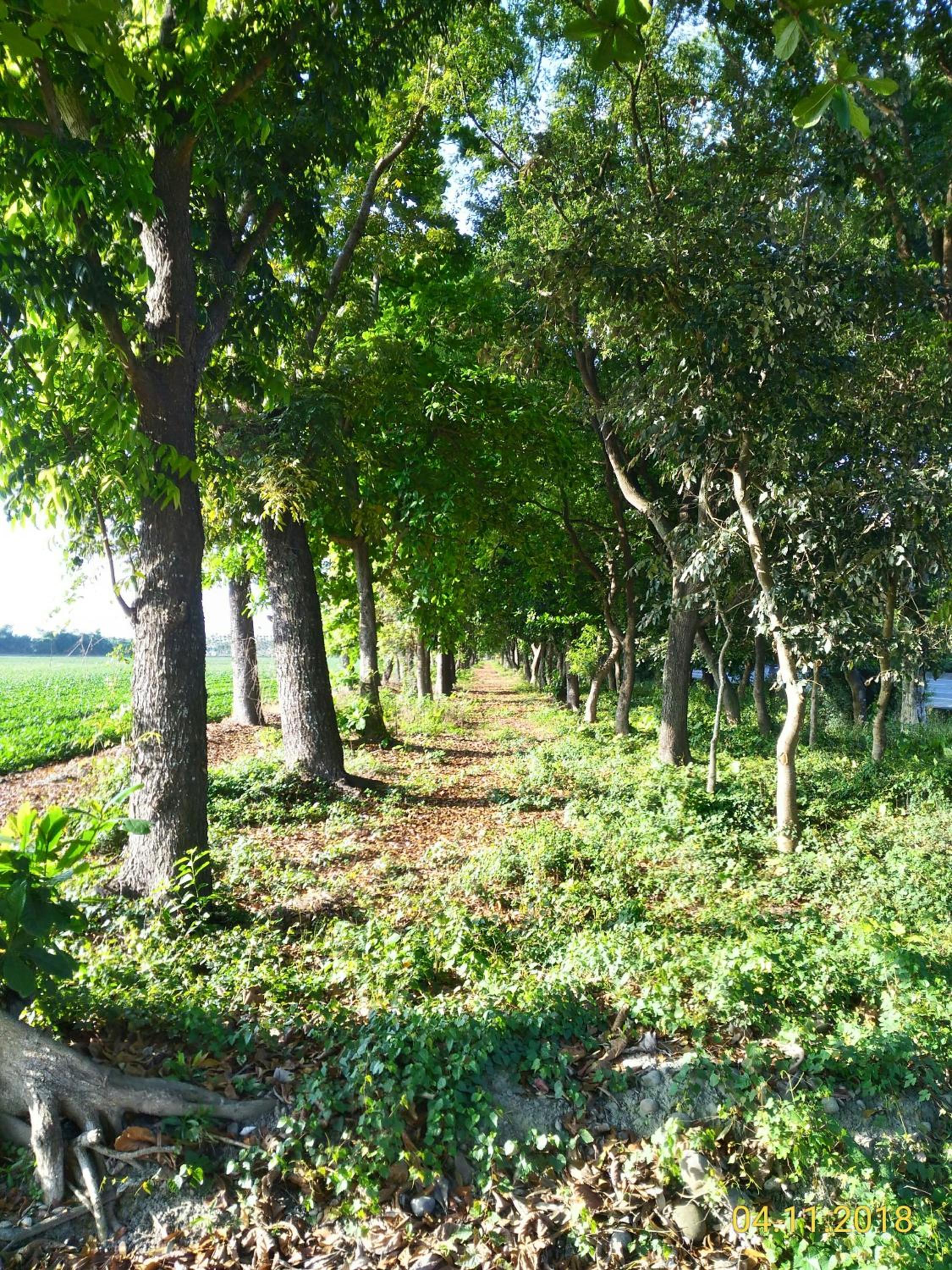 Photo 43