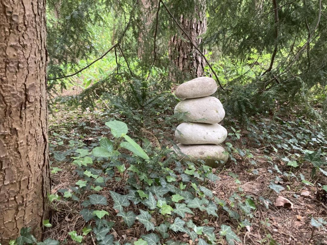 NEU! Kiefernhäuschen