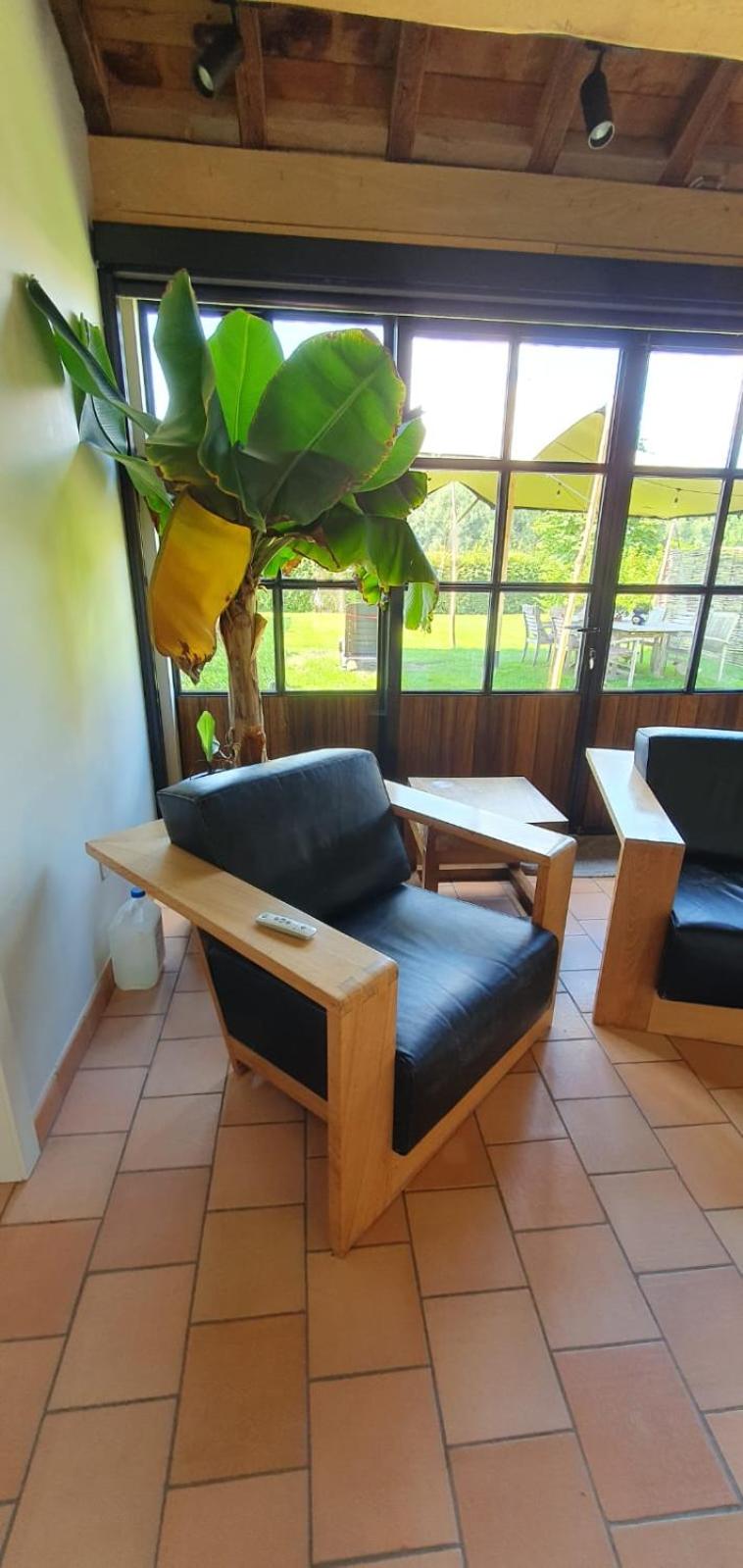 Hof ter Dreef