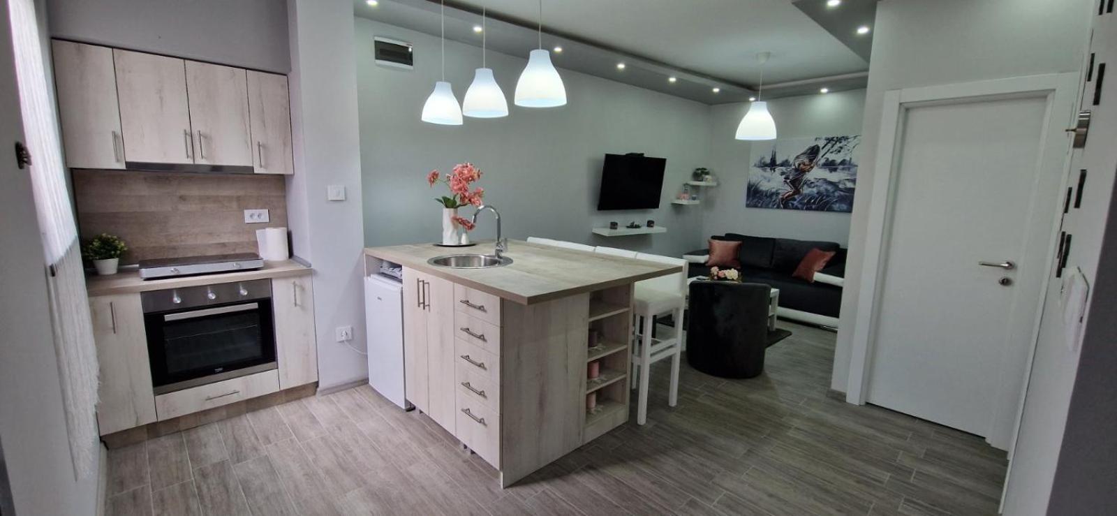 Apartmani i sobe Gromilovic Apartman 4