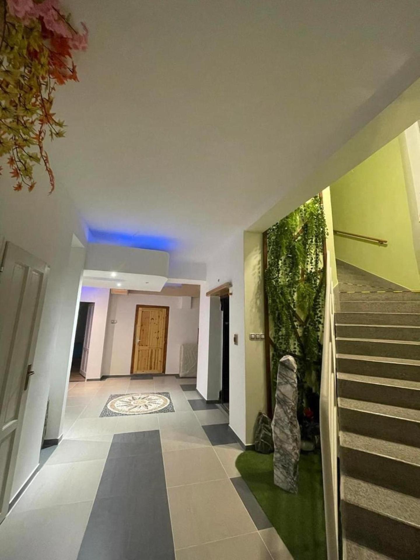 Cozy Studio in Zizkov Prague