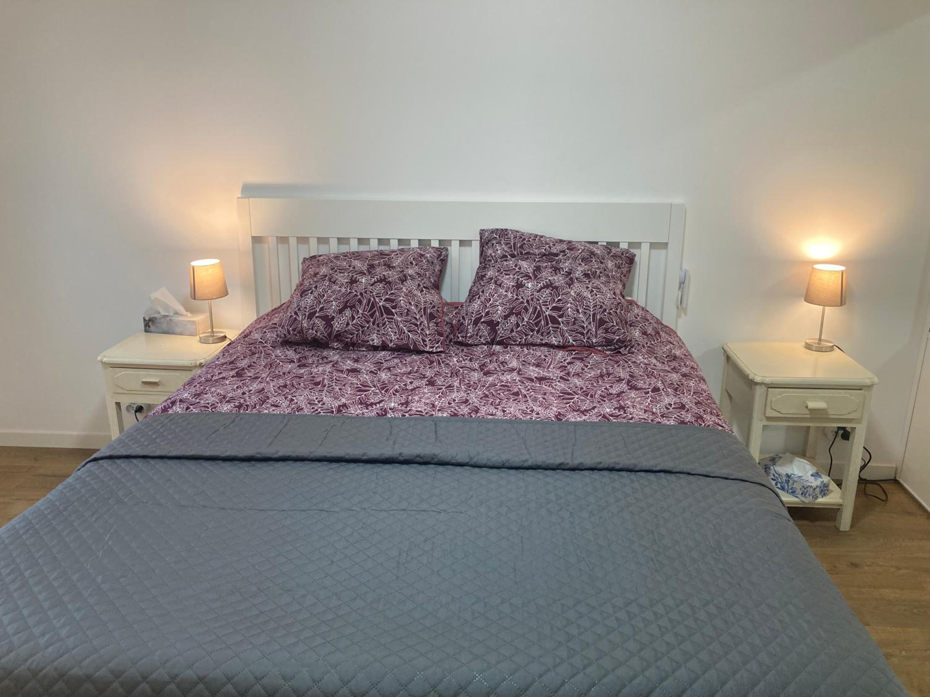 Cannes Beach Access, Private Room in Shared 3-Bedroom Apartment, Private Bathroom, Living Room with Sea View Suite Parentale salle de bain privée accès pla