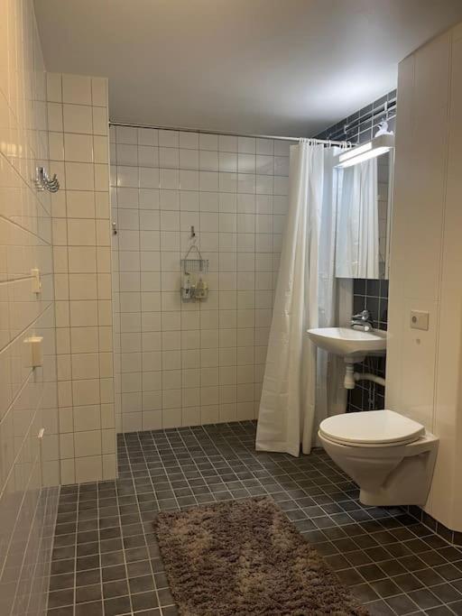 Lägenhet i centrala Stockholm