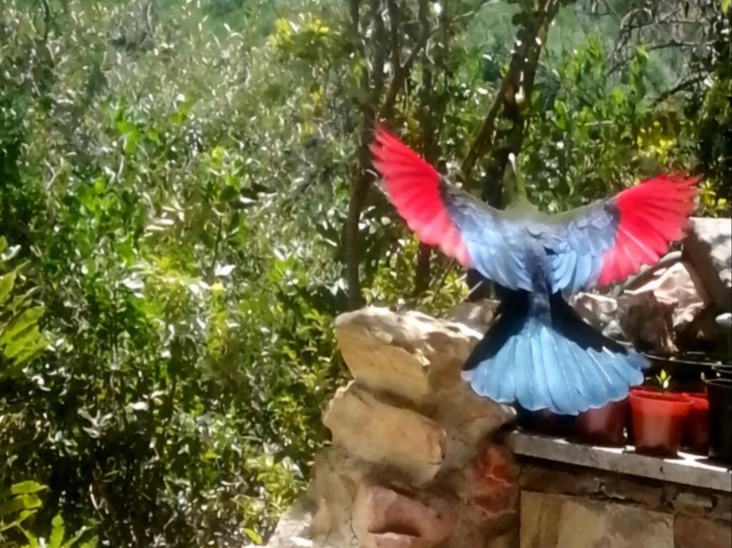 Photo 14