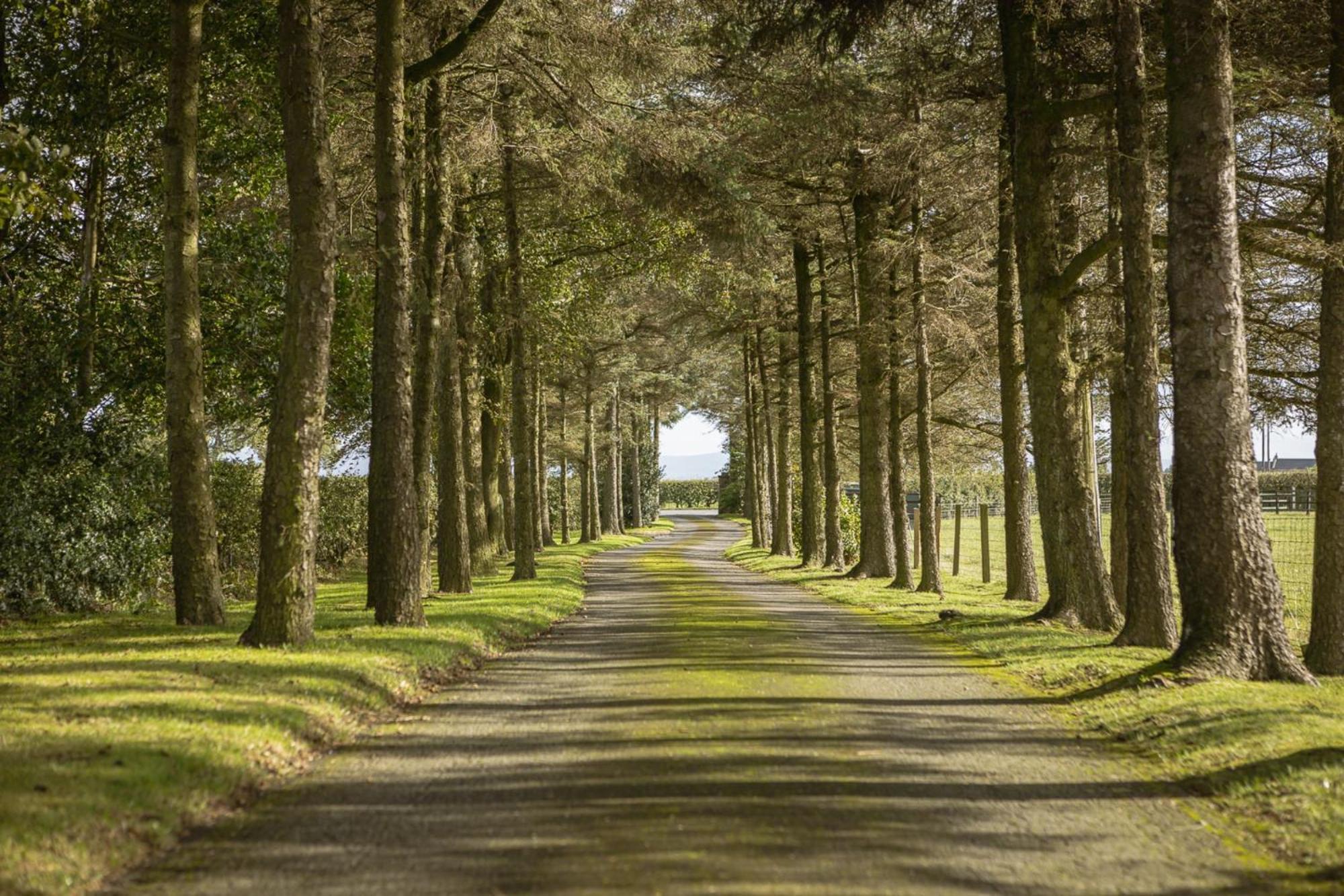Harelands