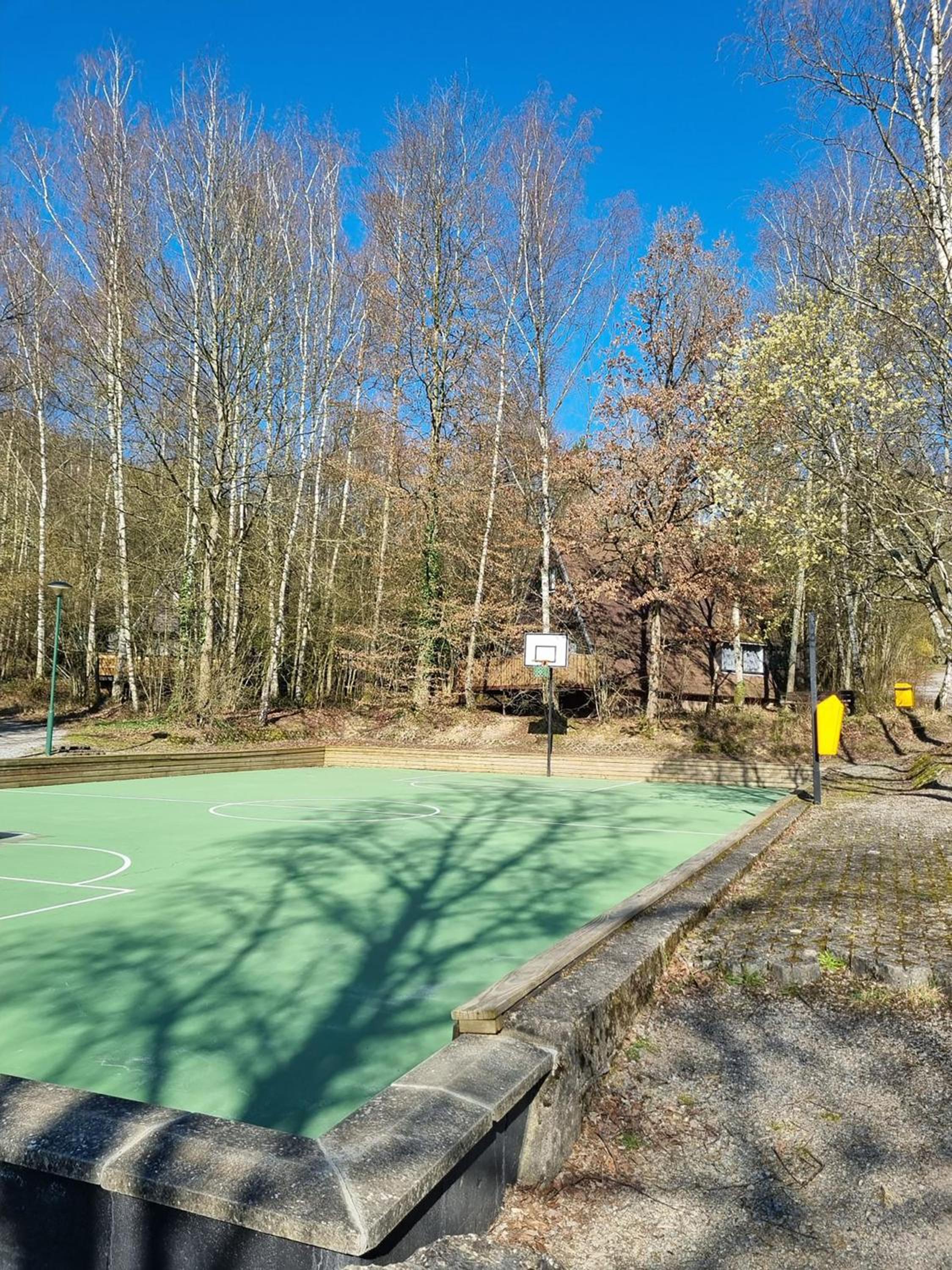 Boszicht Durbuy