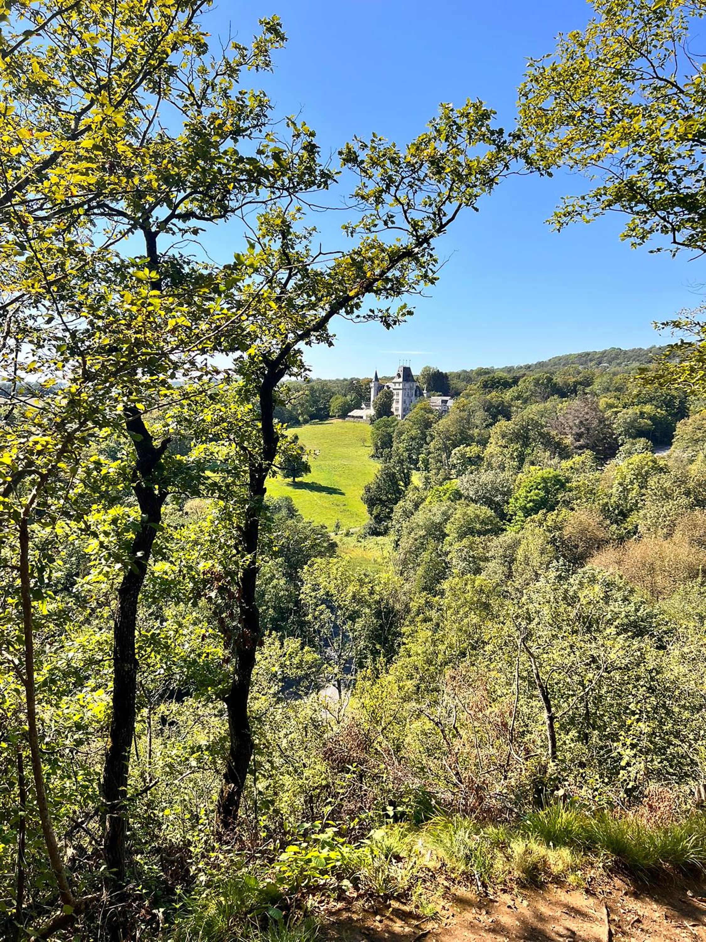 Boszicht Durbuy