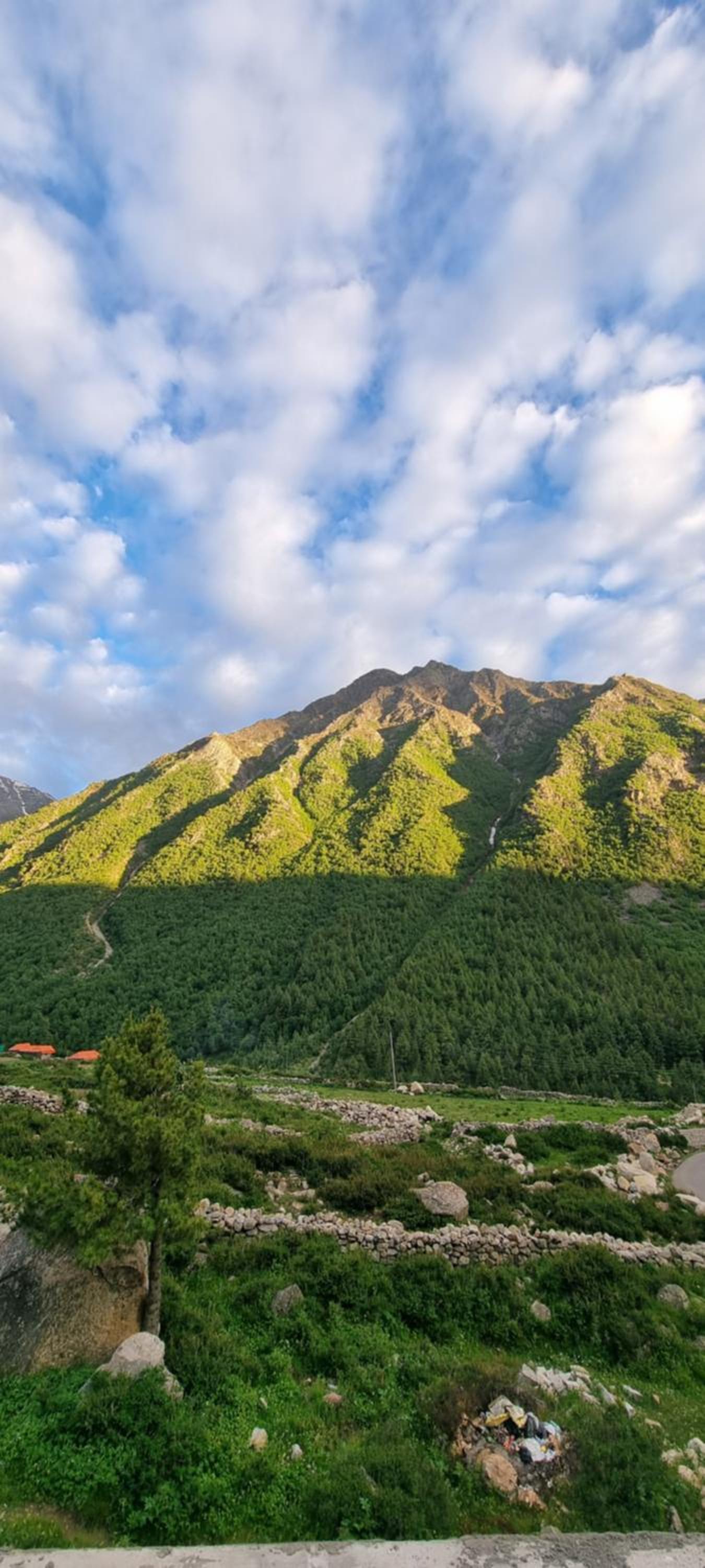 Zomsa Homestay Chitkul