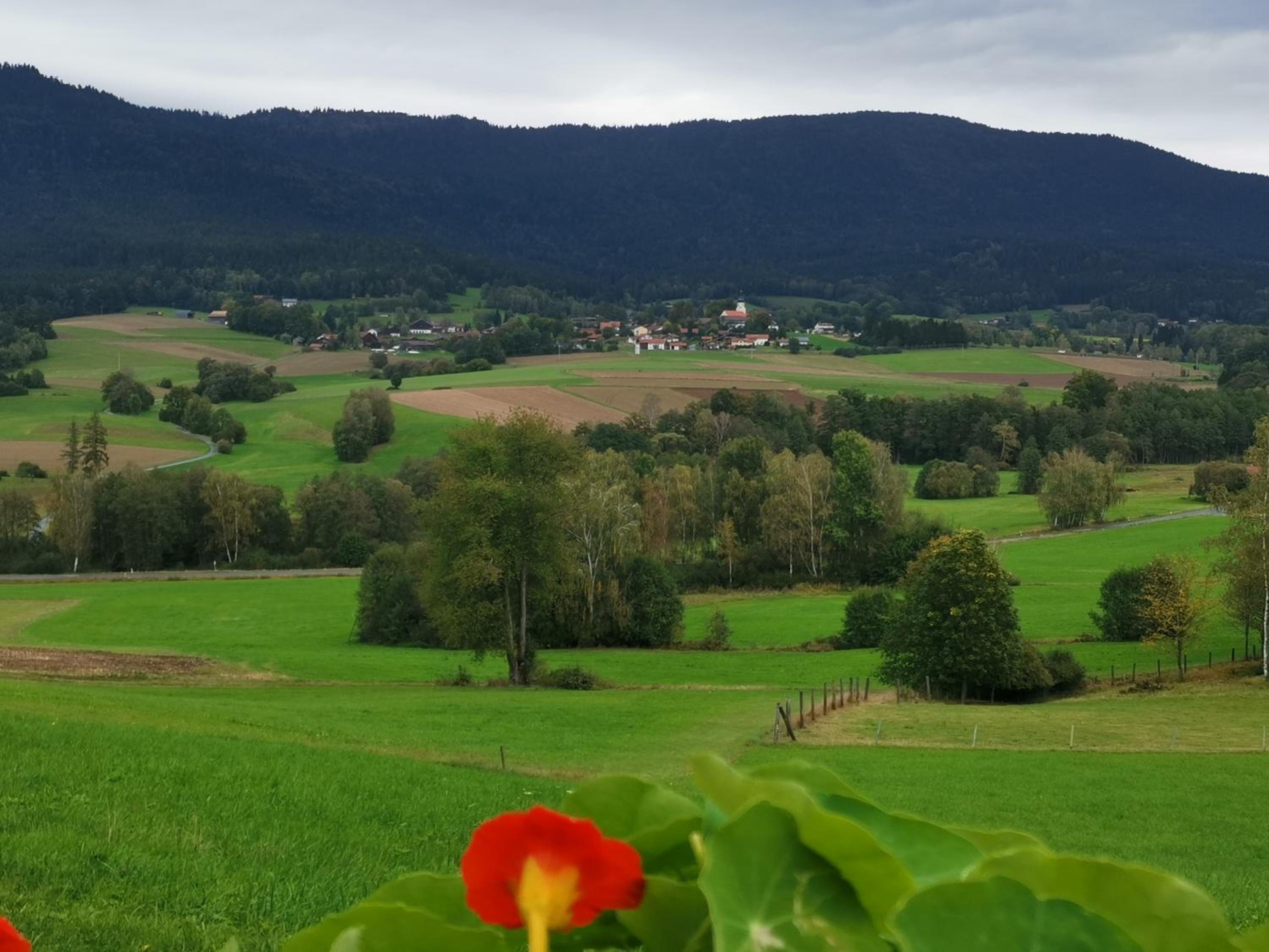 Erholung pur am Stroblhof