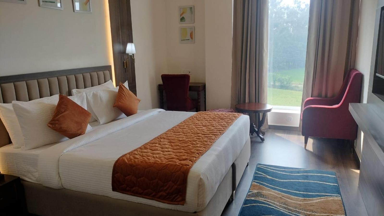Park Regency Kapurthala view 5