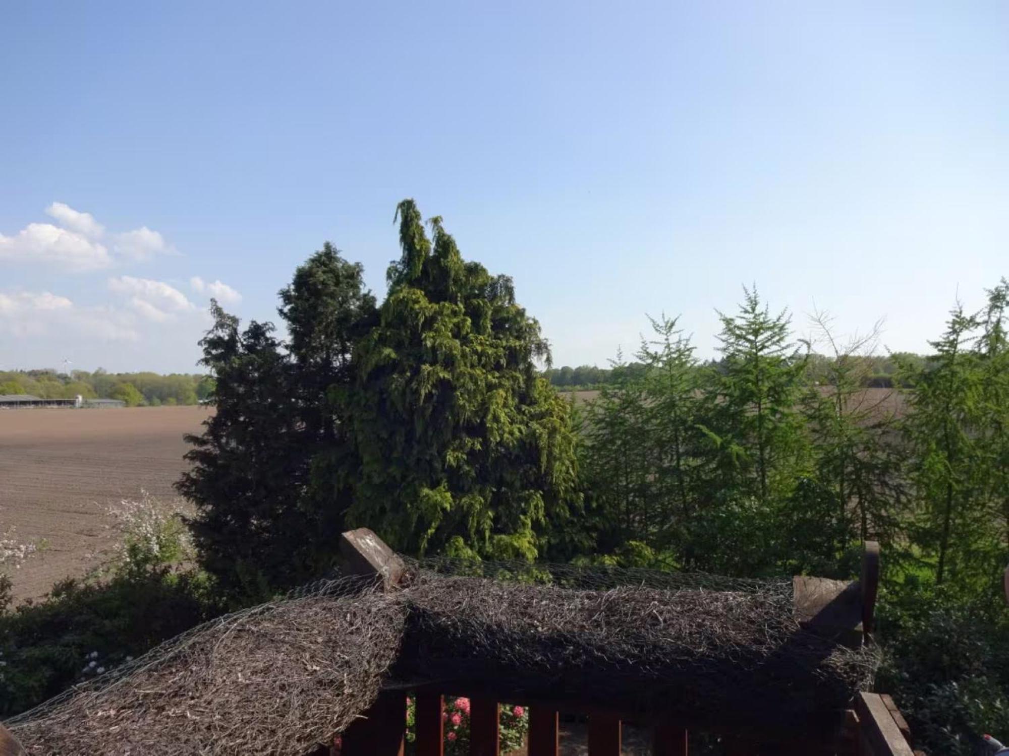 Felderblick oben